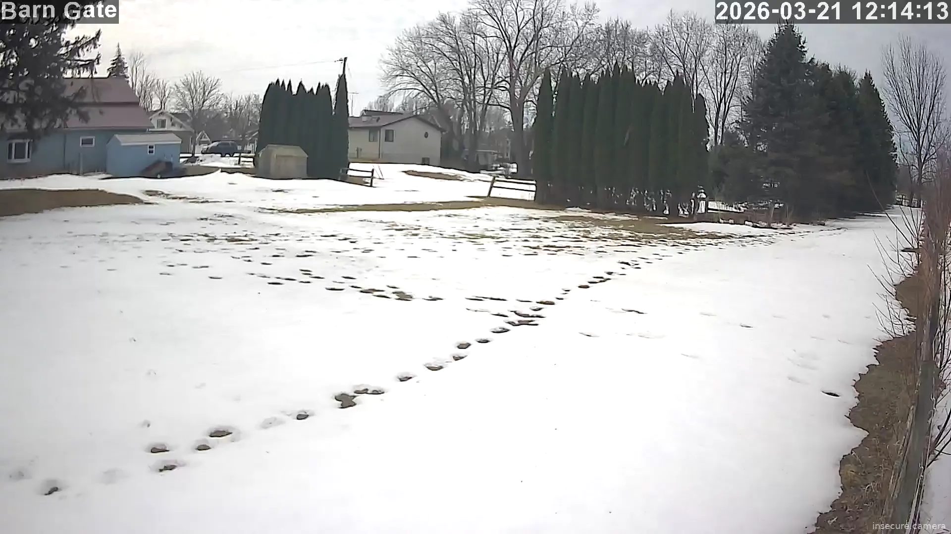 Camera in United States