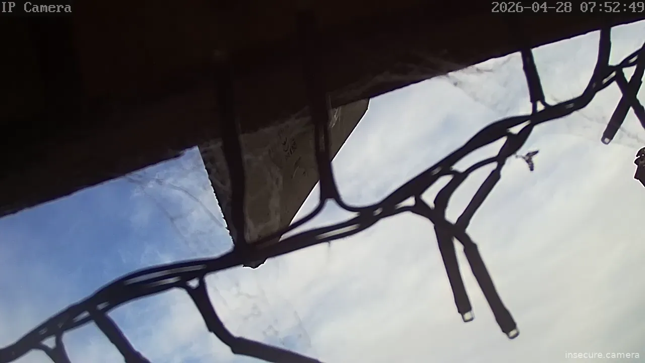 Camera in Netherlands