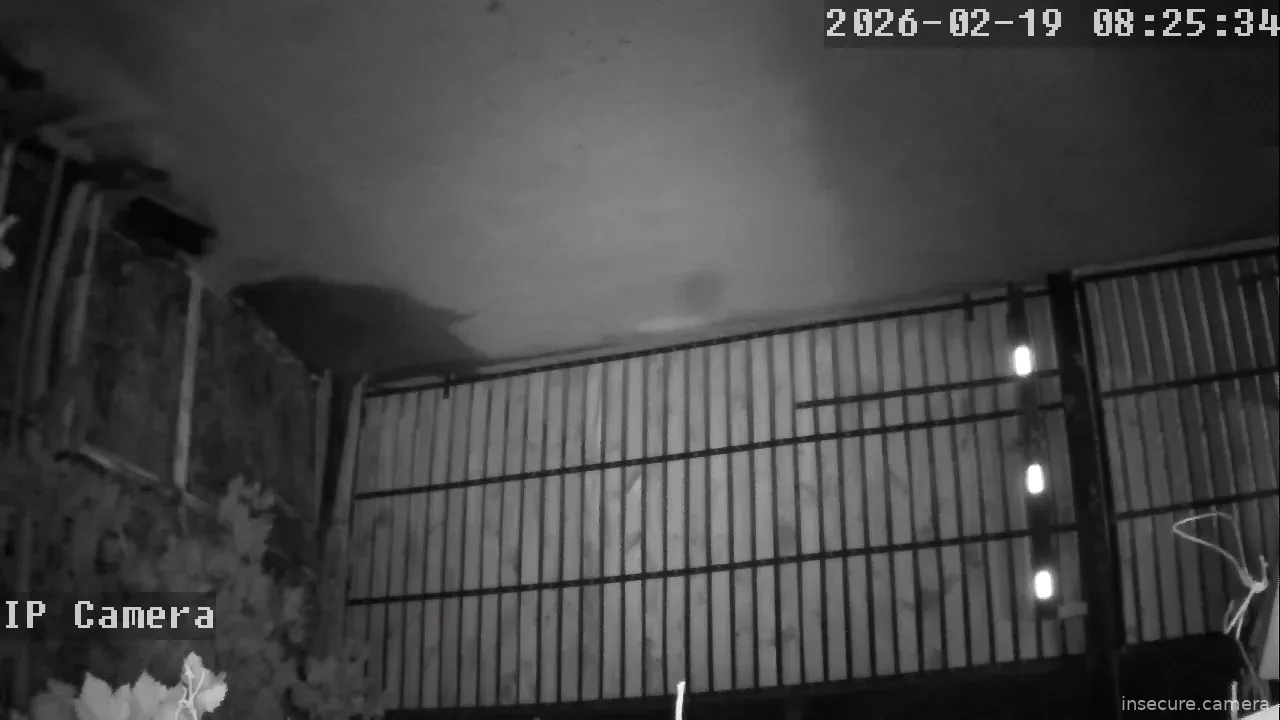 Capture from Feb 19, 2026 at 12:26 AM