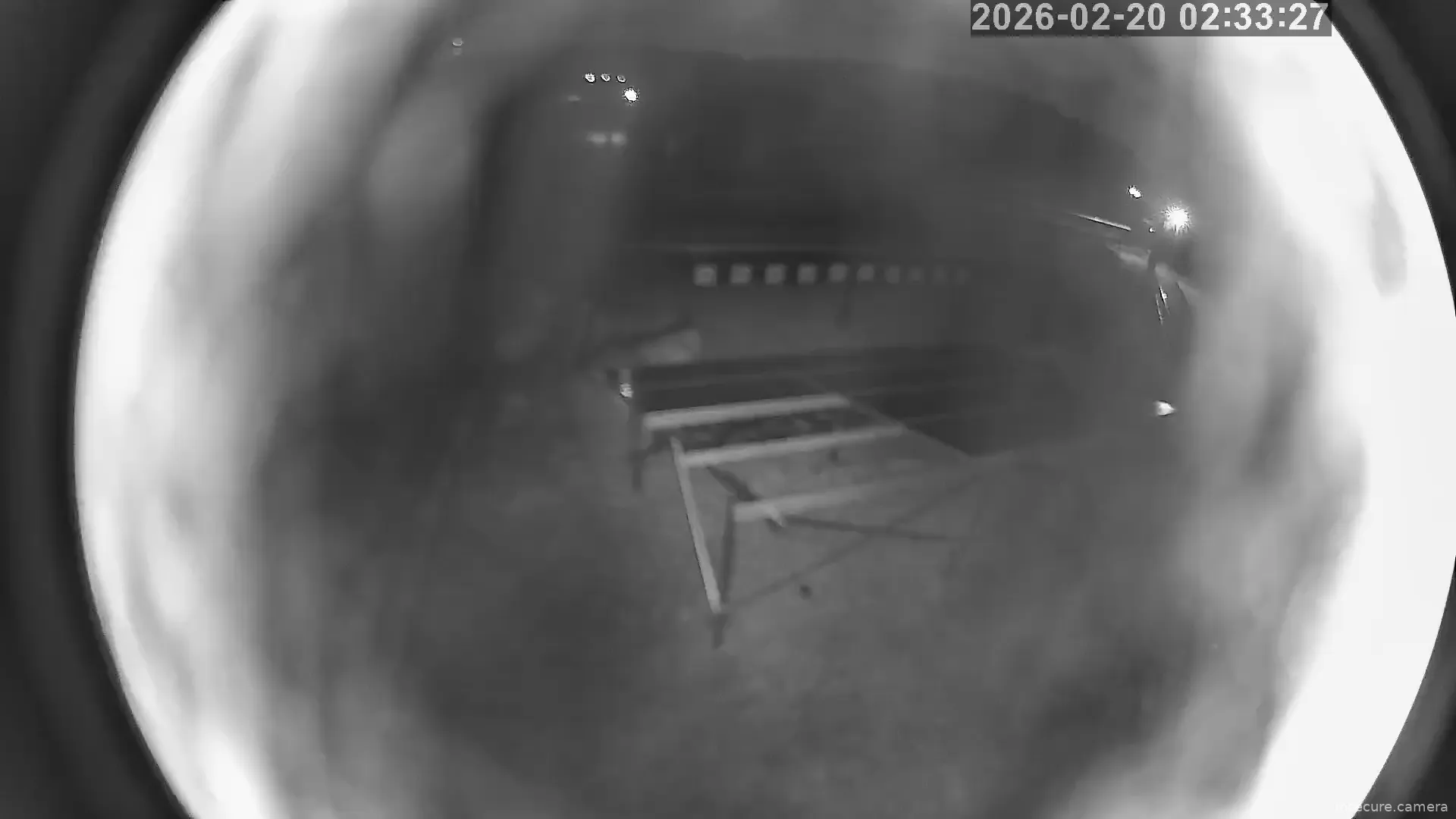 Capture from Feb 19, 2026 at 05:34 PM