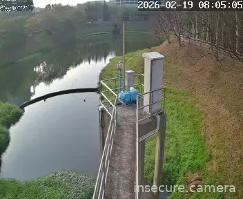 Capture from Feb 19, 2026 at 12:05 AM