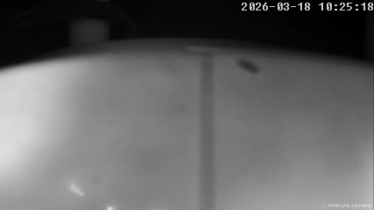 Capture from Mar 18, 2026 at 02:25 AM