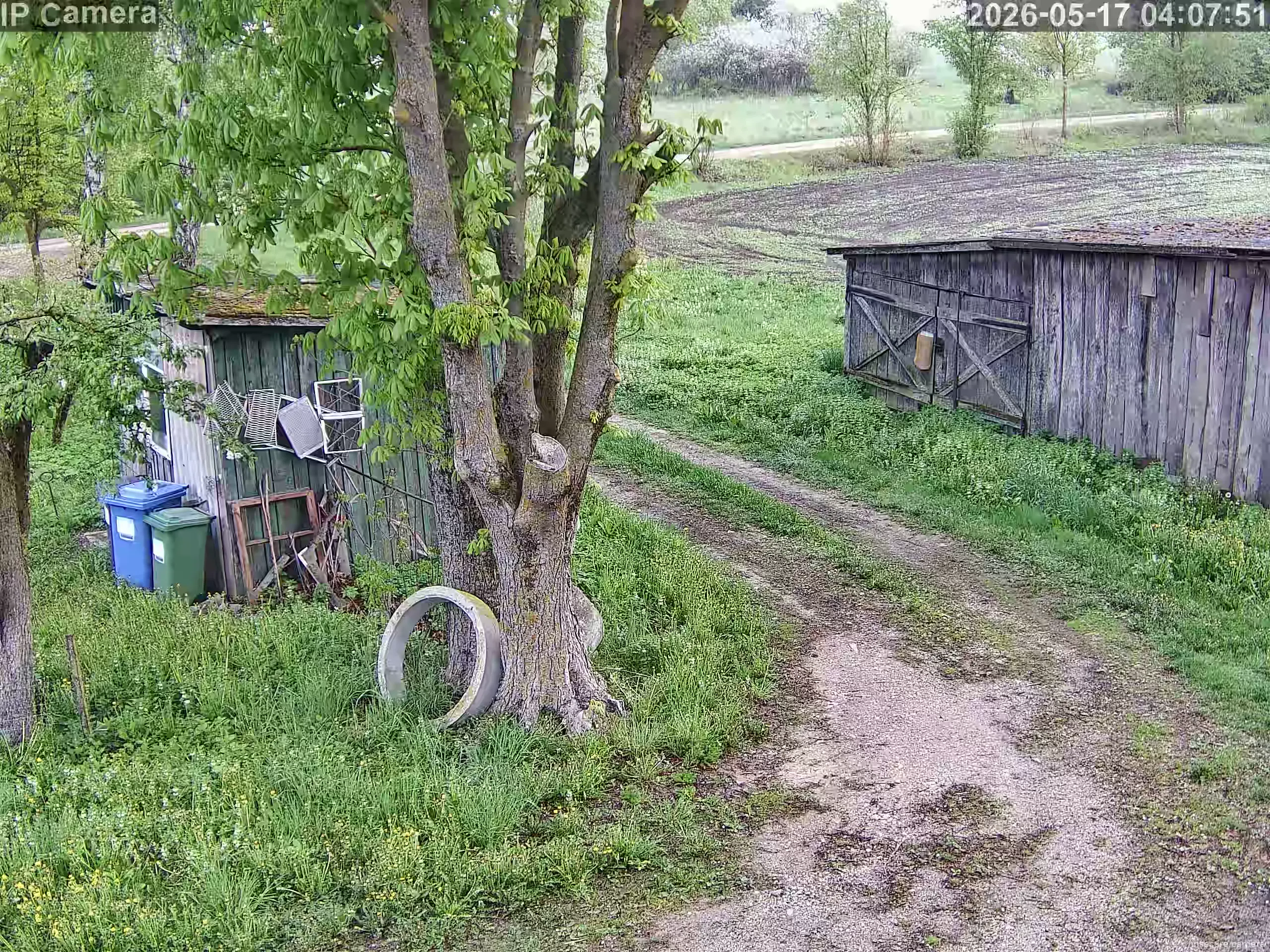 Capture from May 17, 2026 at 03:09 AM