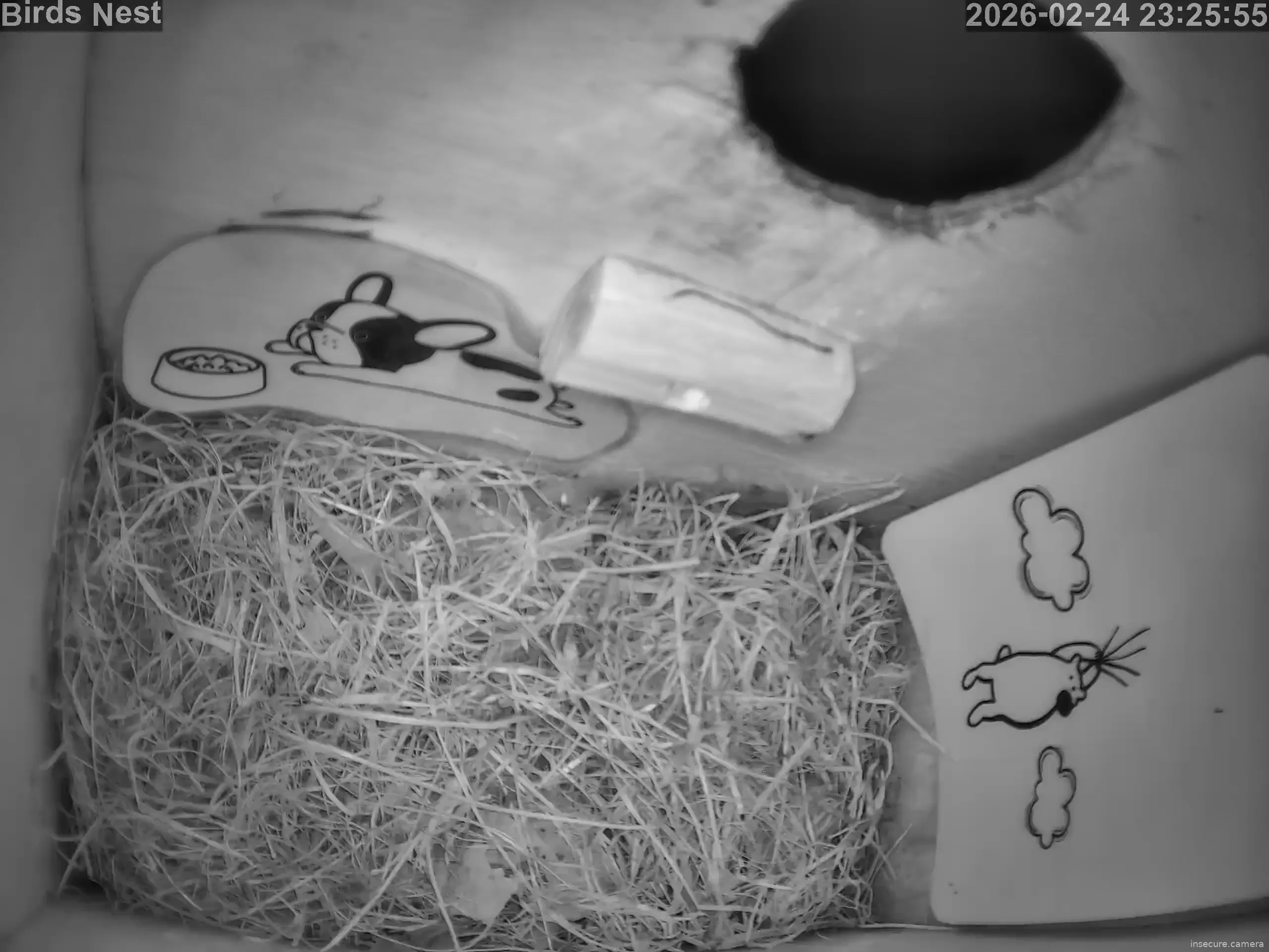 Capture from Feb 24, 2026 at 09:26 PM