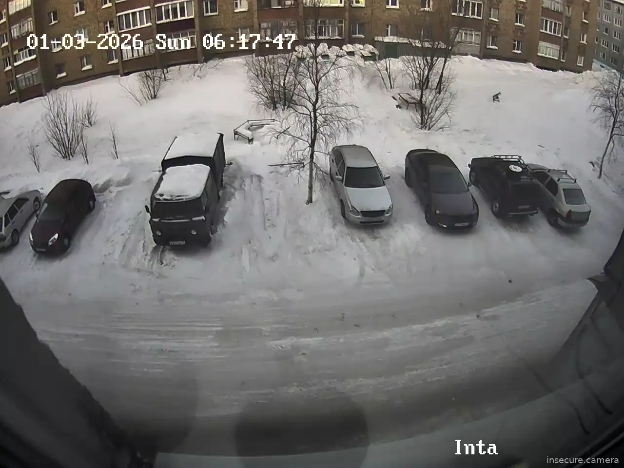 Capture from Mar 01, 2026 at 03:18 AM