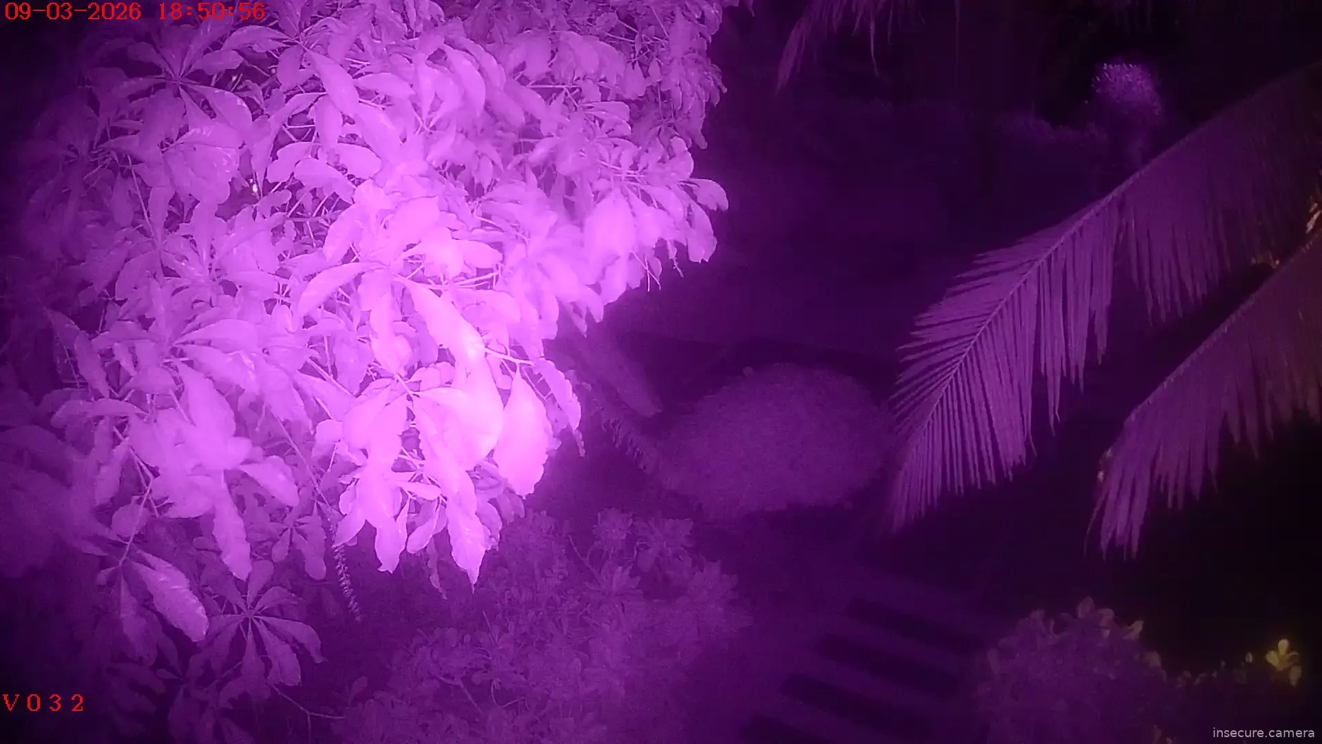 Capture from Mar 09, 2026 at 11:51 AM