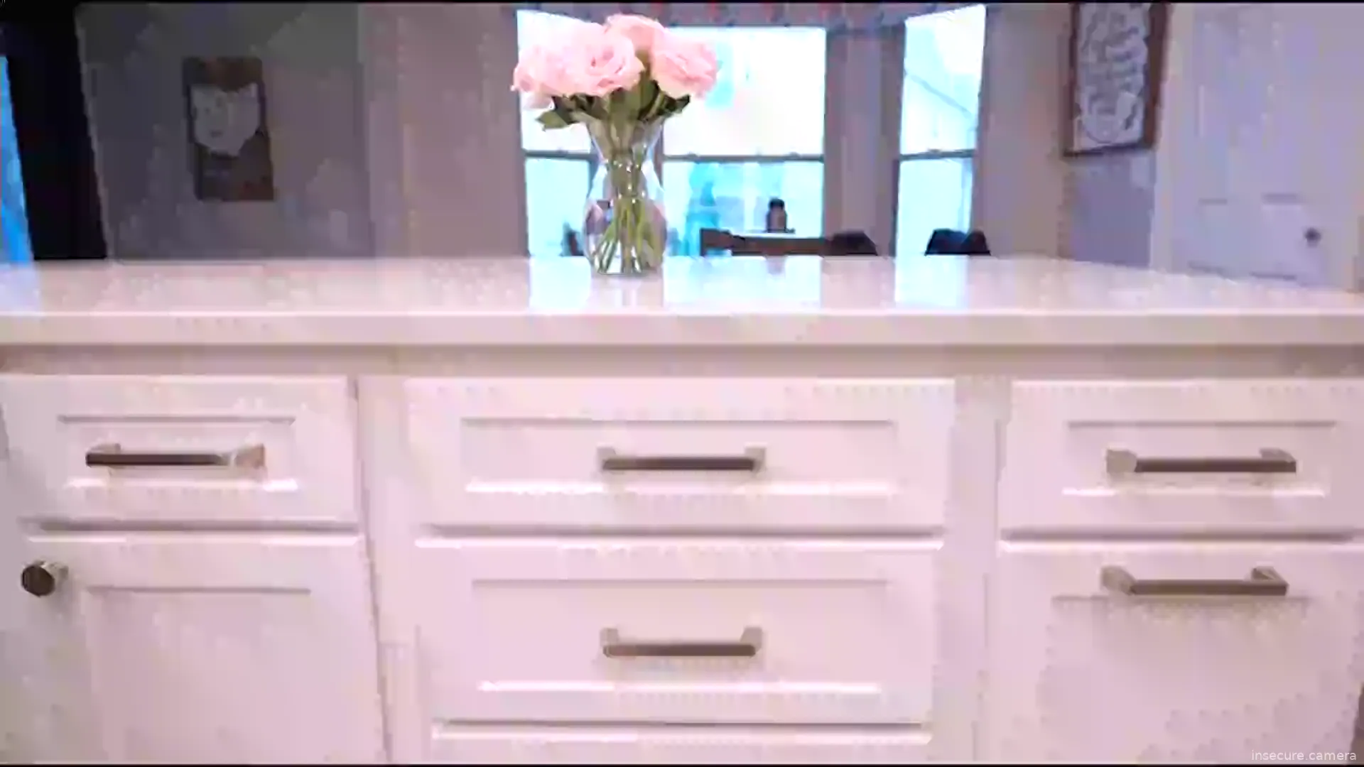 Camera in United States