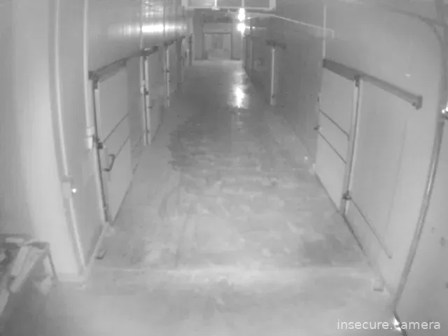 Capture from Feb 19, 2026 at 09:19 AM