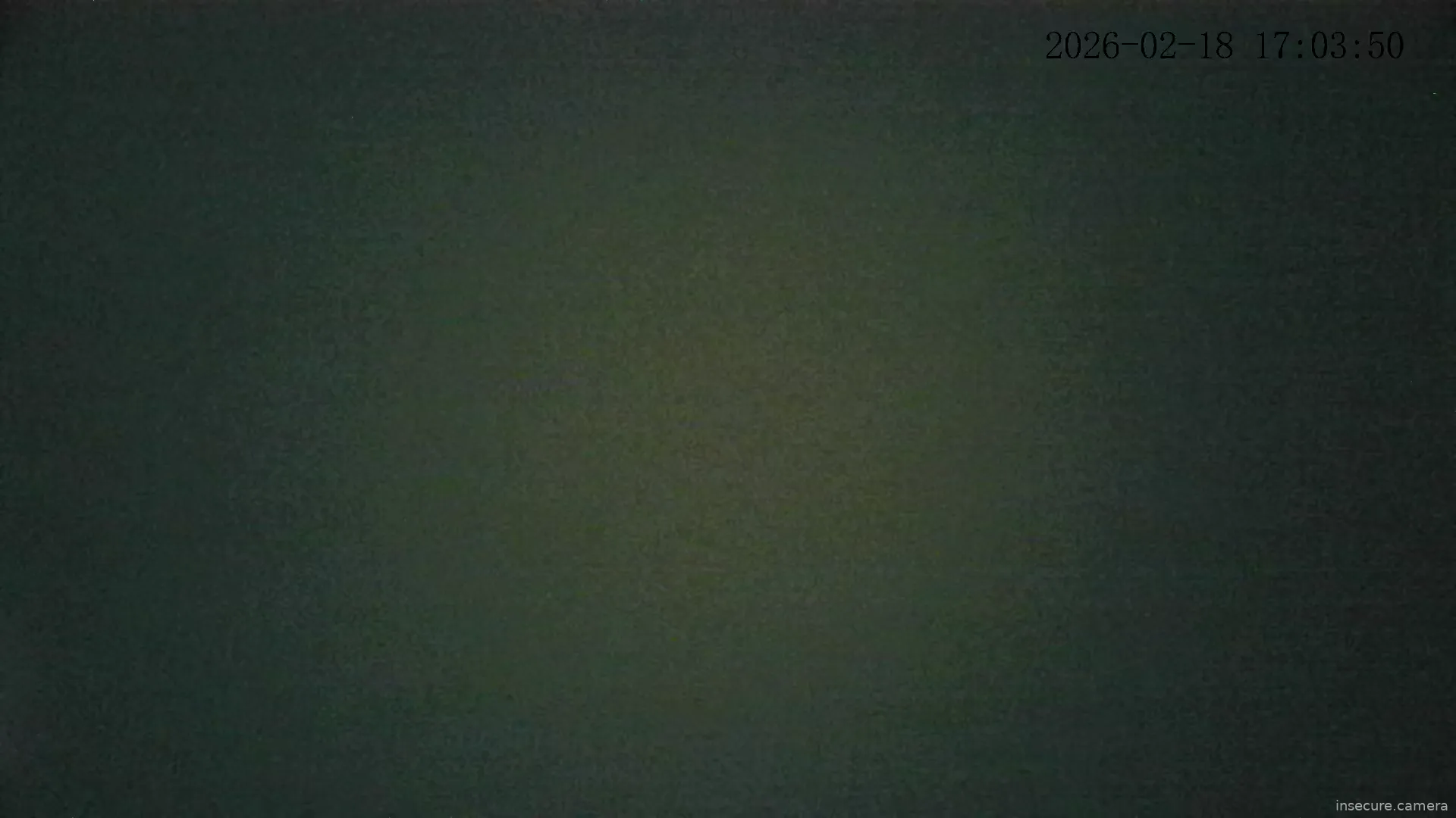 Capture from Feb 19, 2026 at 01:04 AM