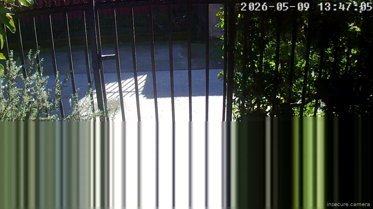 Camera in Chile