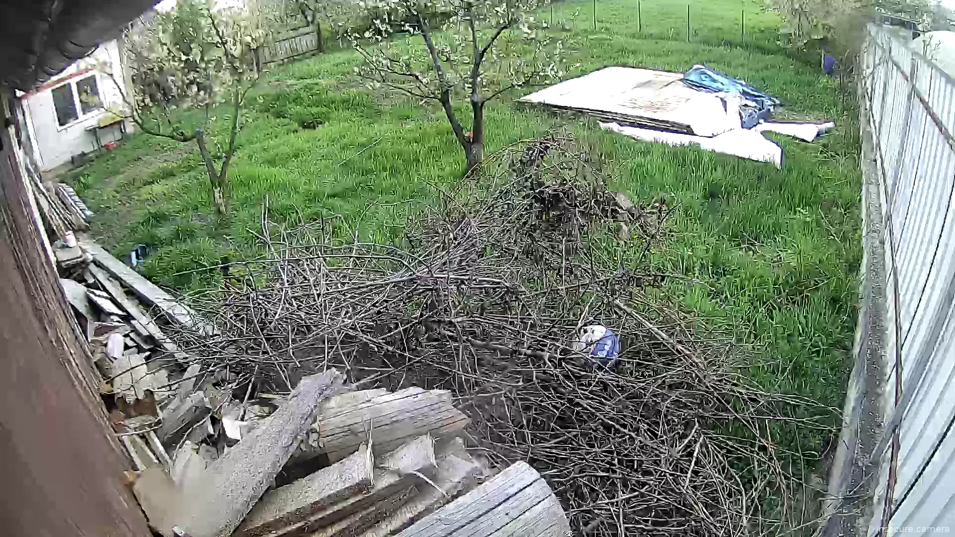 Capture from May 01, 2026 at 03:22 PM