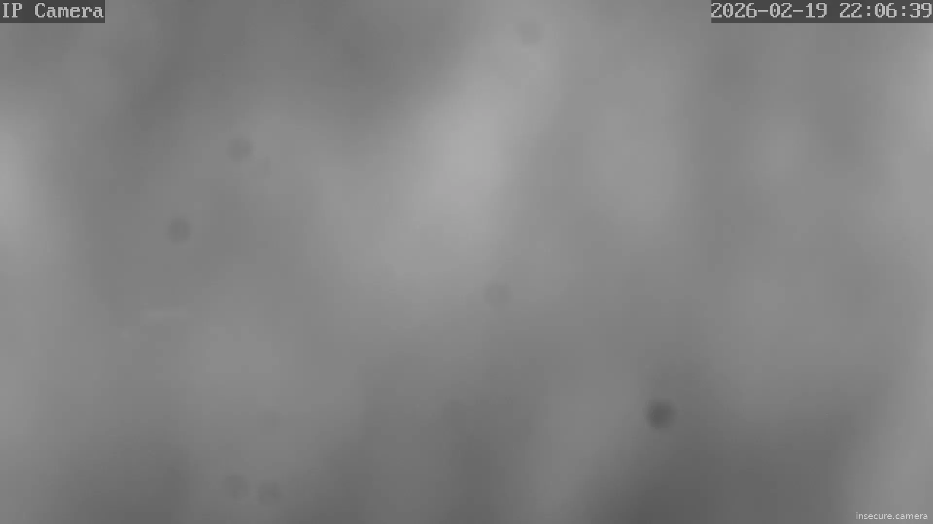 Capture from Feb 19, 2026 at 09:07 PM