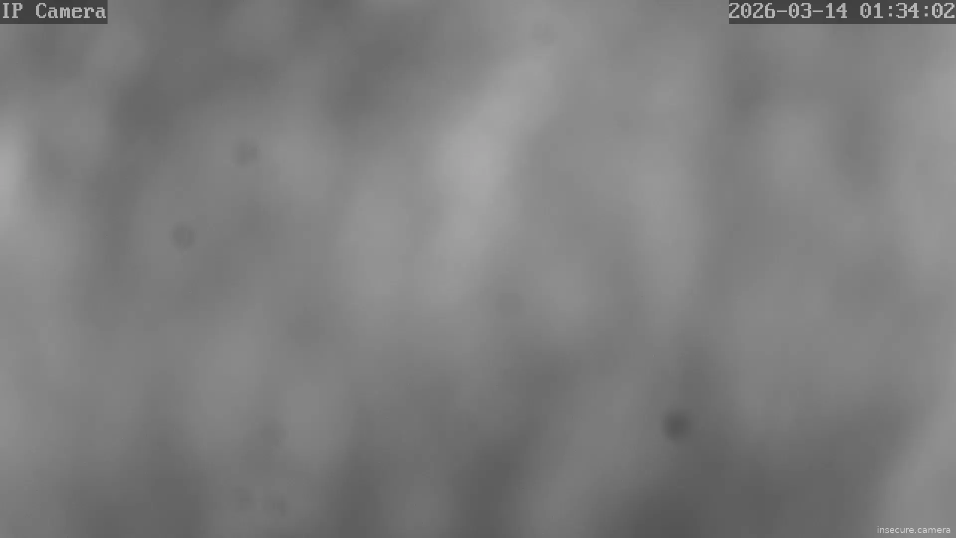 Capture from Mar 14, 2026 at 12:34 AM