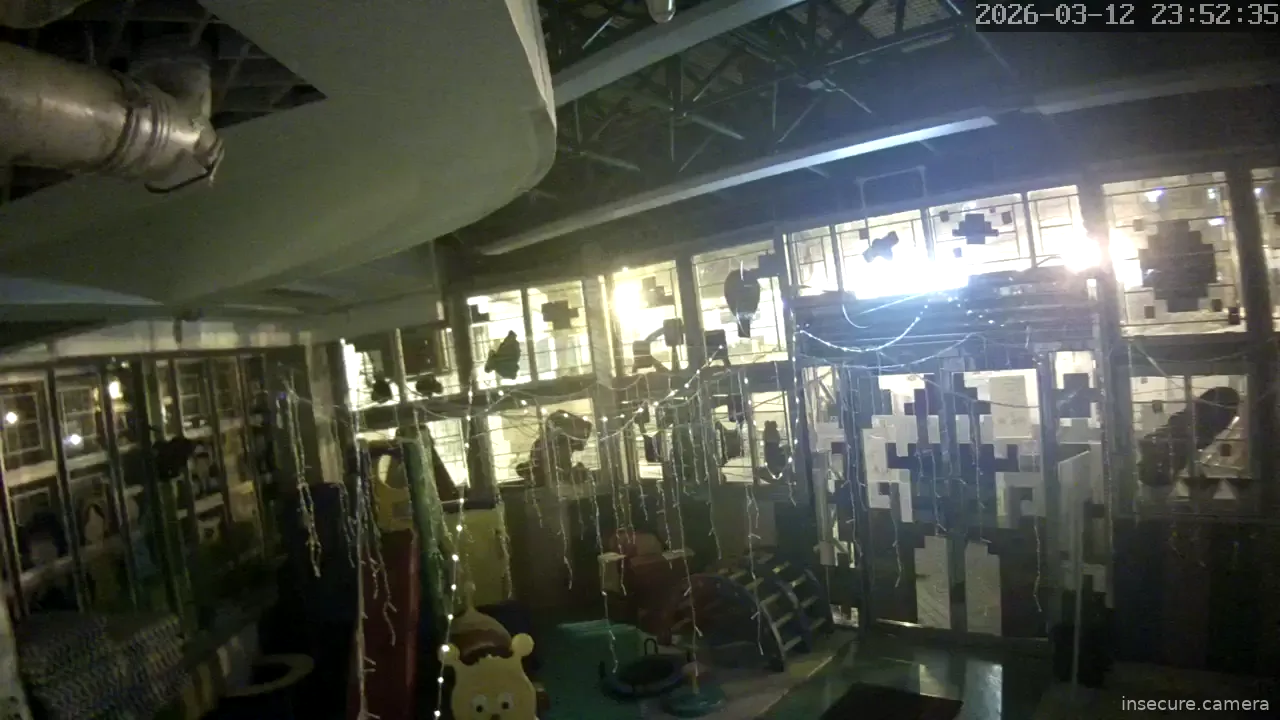 Camera in Hong Kong SAR China