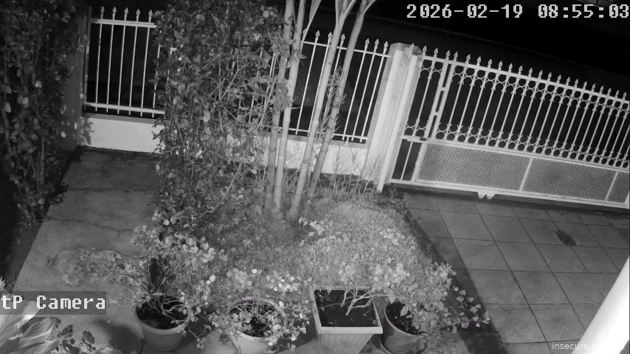 Capture from Feb 19, 2026 at 12:55 AM