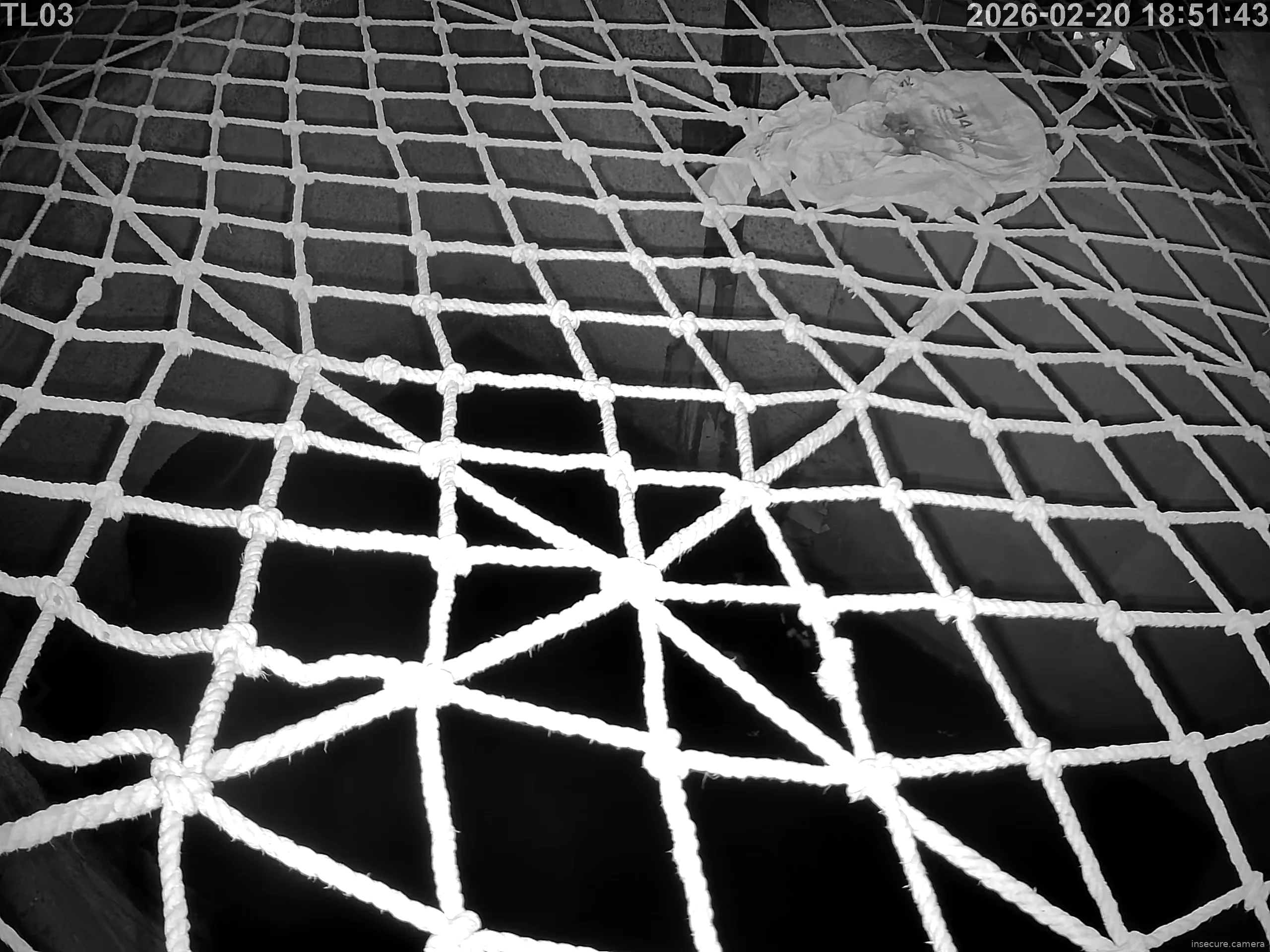 Capture from Feb 20, 2026 at 10:52 AM