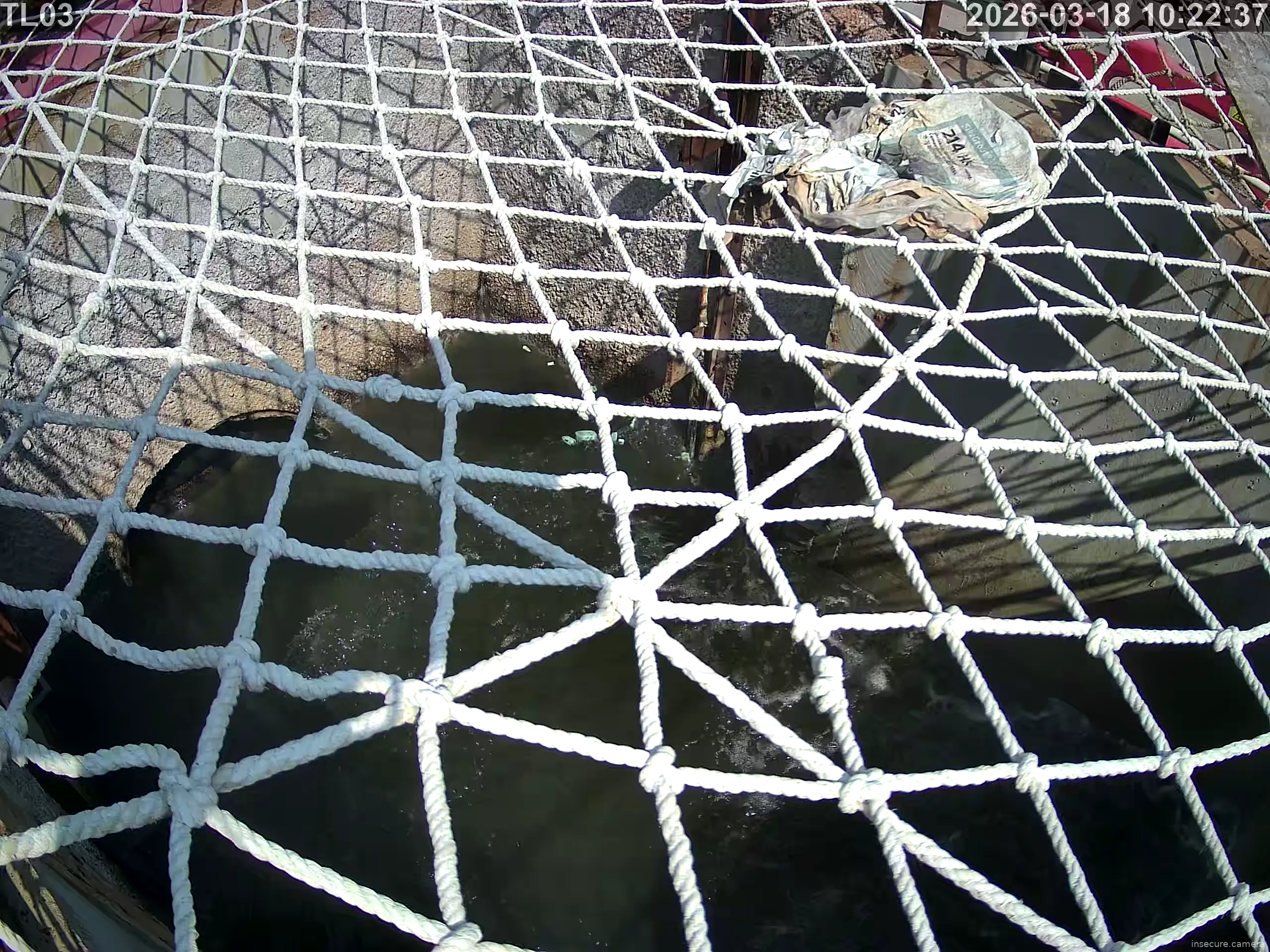 Capture from Mar 18, 2026 at 02:23 AM