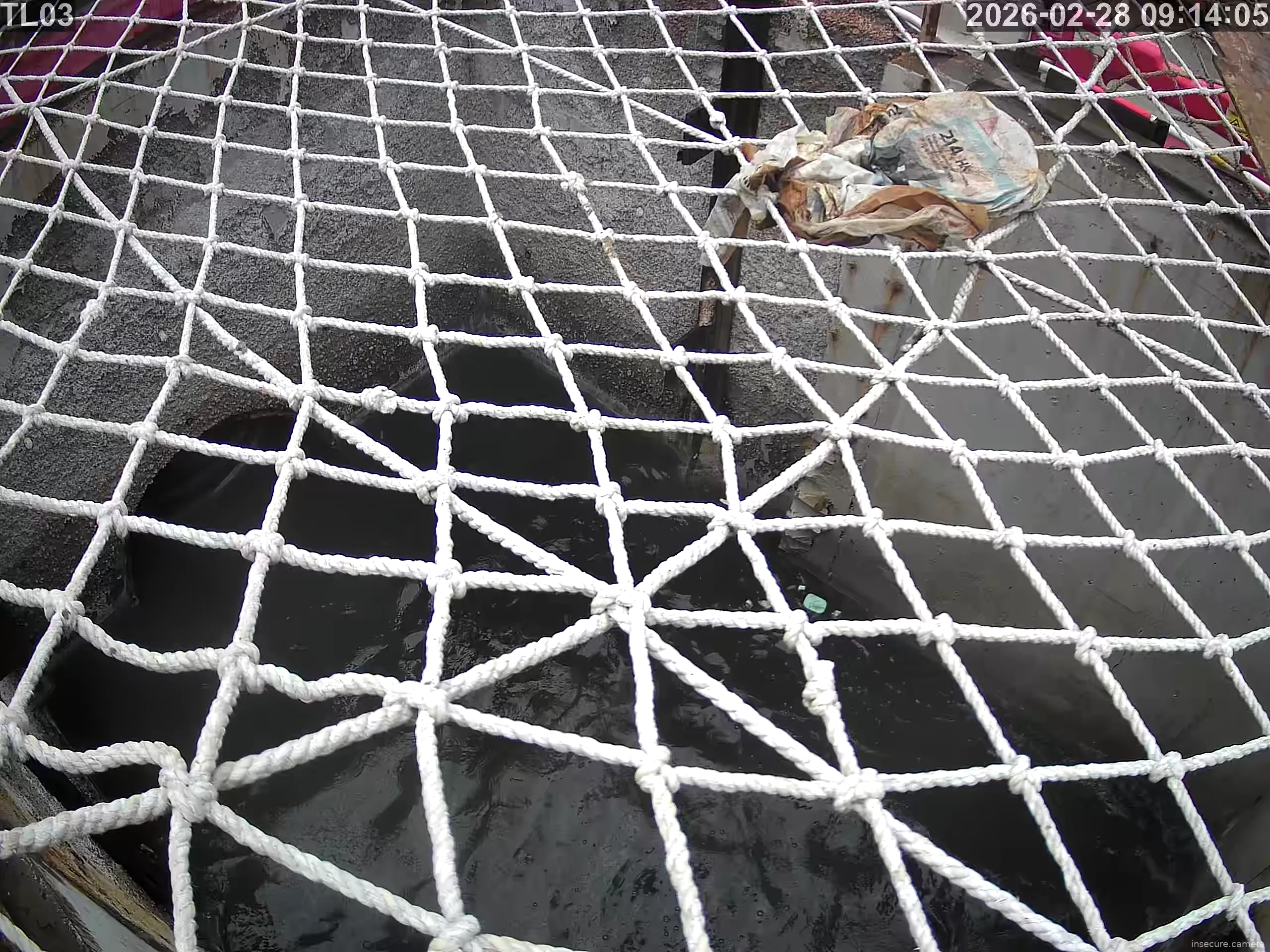 Capture from Feb 28, 2026 at 01:14 AM