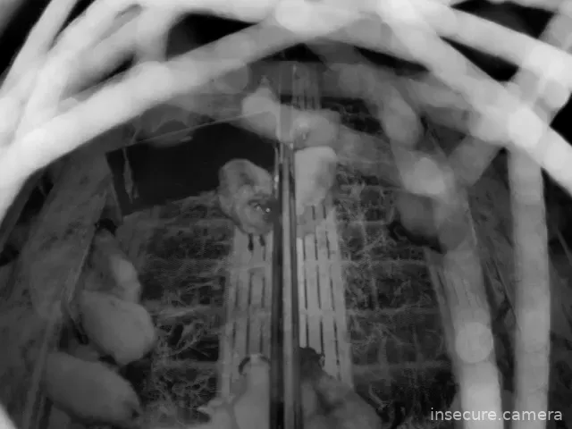 Capture from Feb 19, 2026 at 09:20 PM