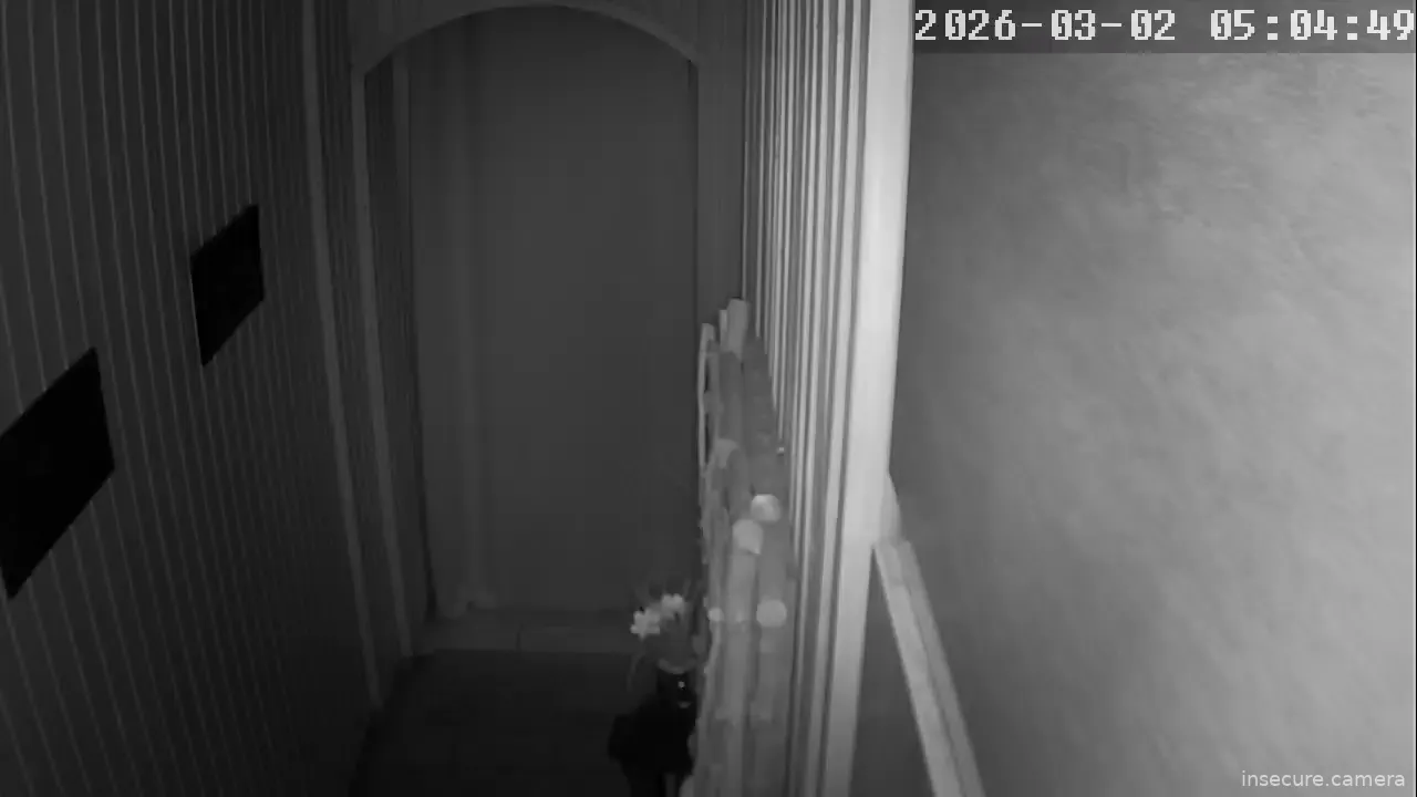 Capture from Mar 02, 2026 at 03:05 AM