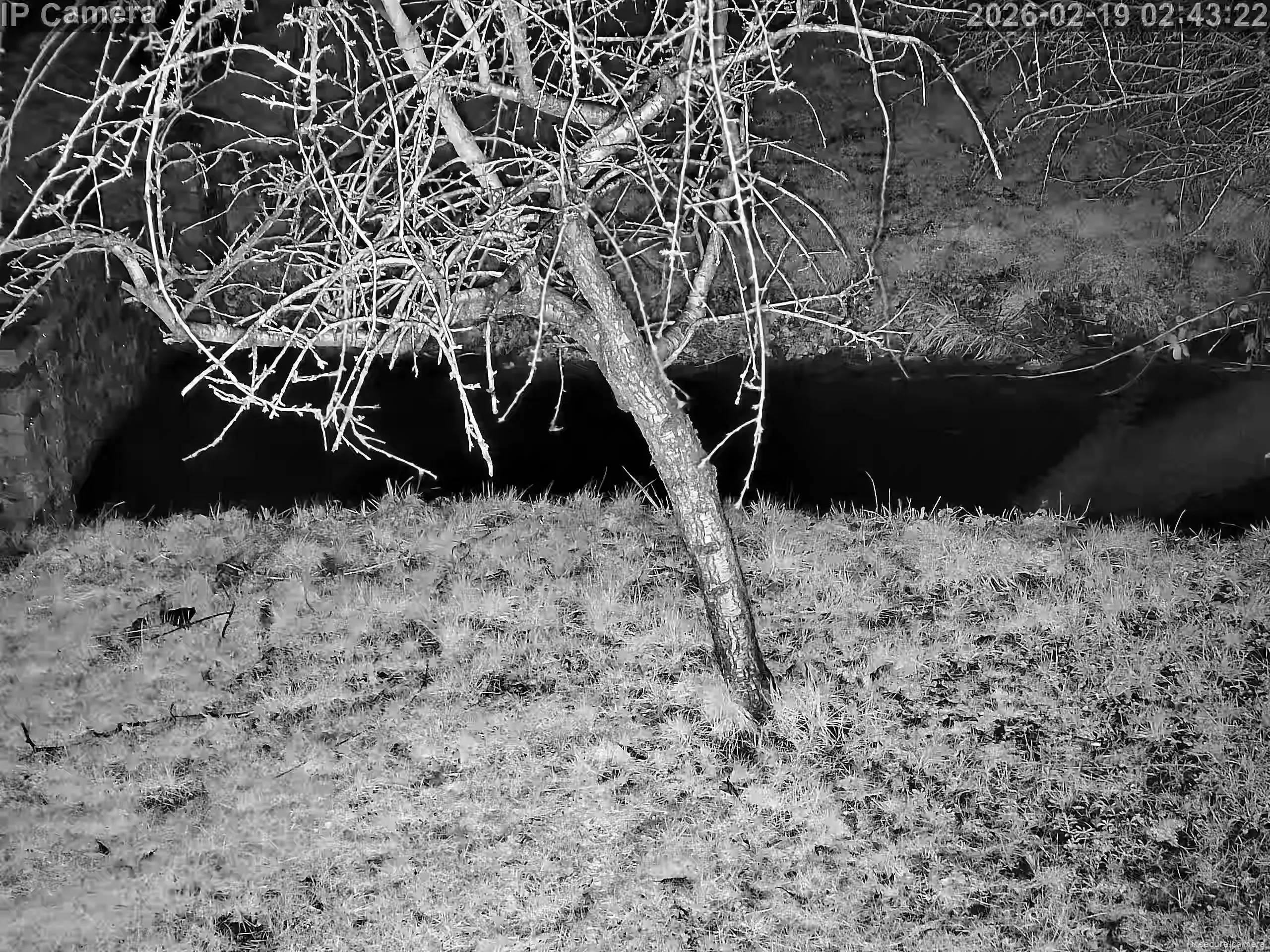 Capture from Feb 19, 2026 at 02:44 AM