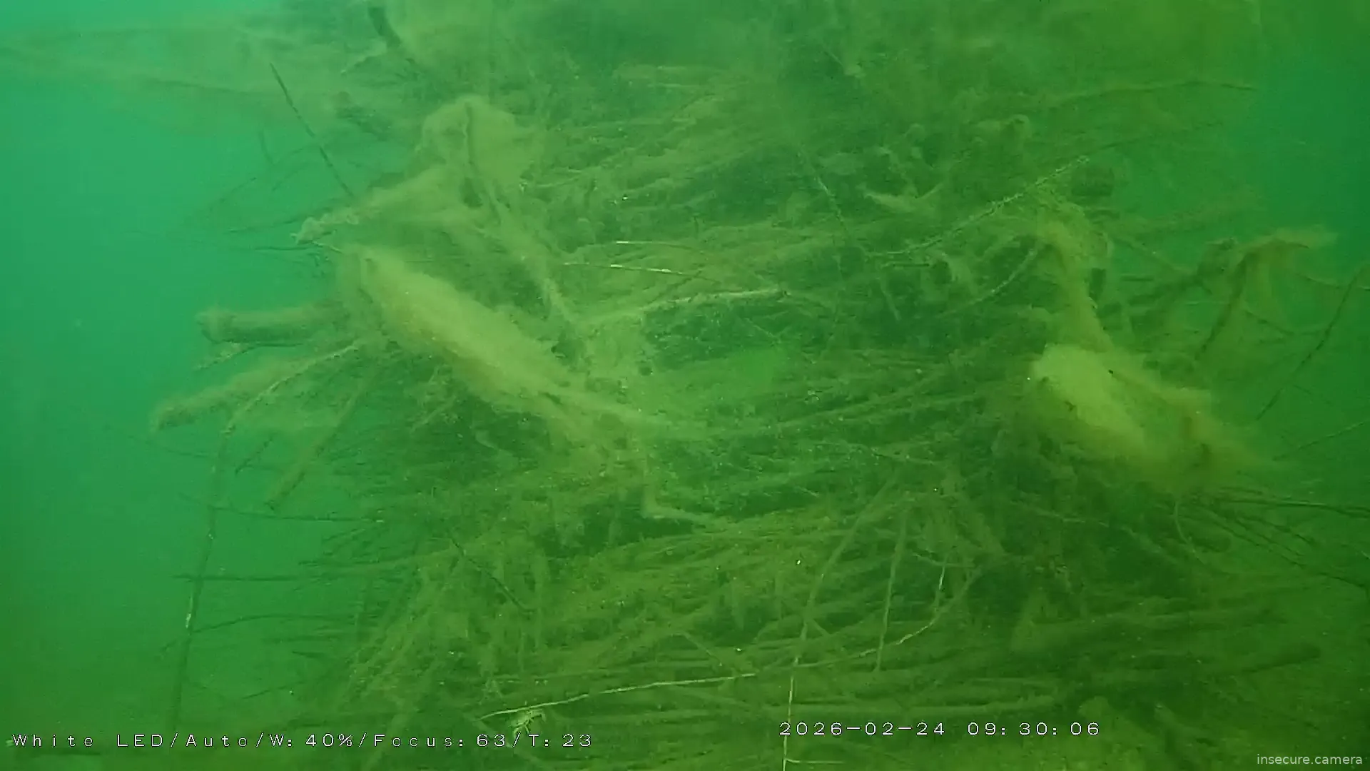 Capture from Feb 24, 2026 at 08:32 AM