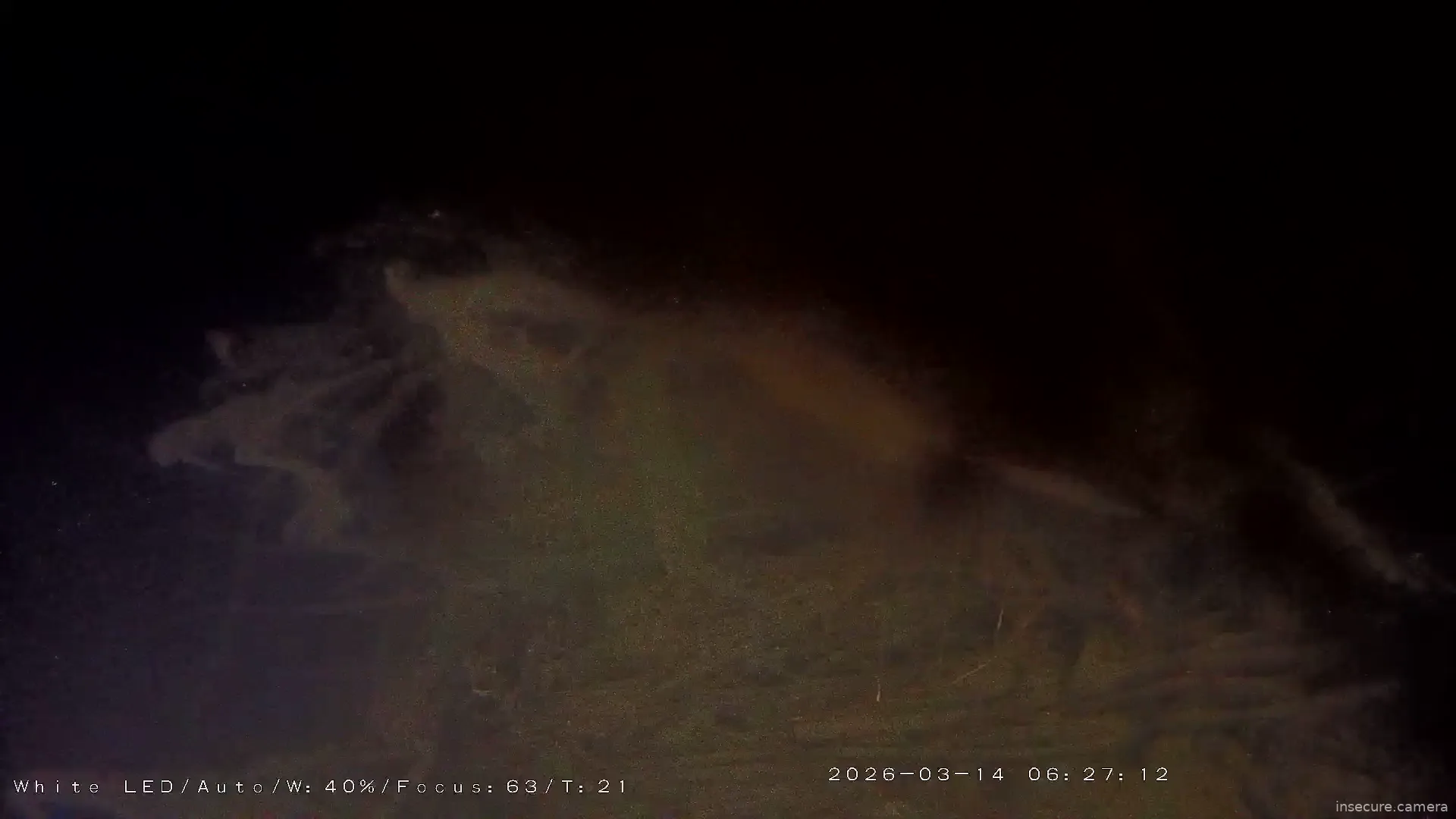 Capture from Mar 14, 2026 at 05:29 AM