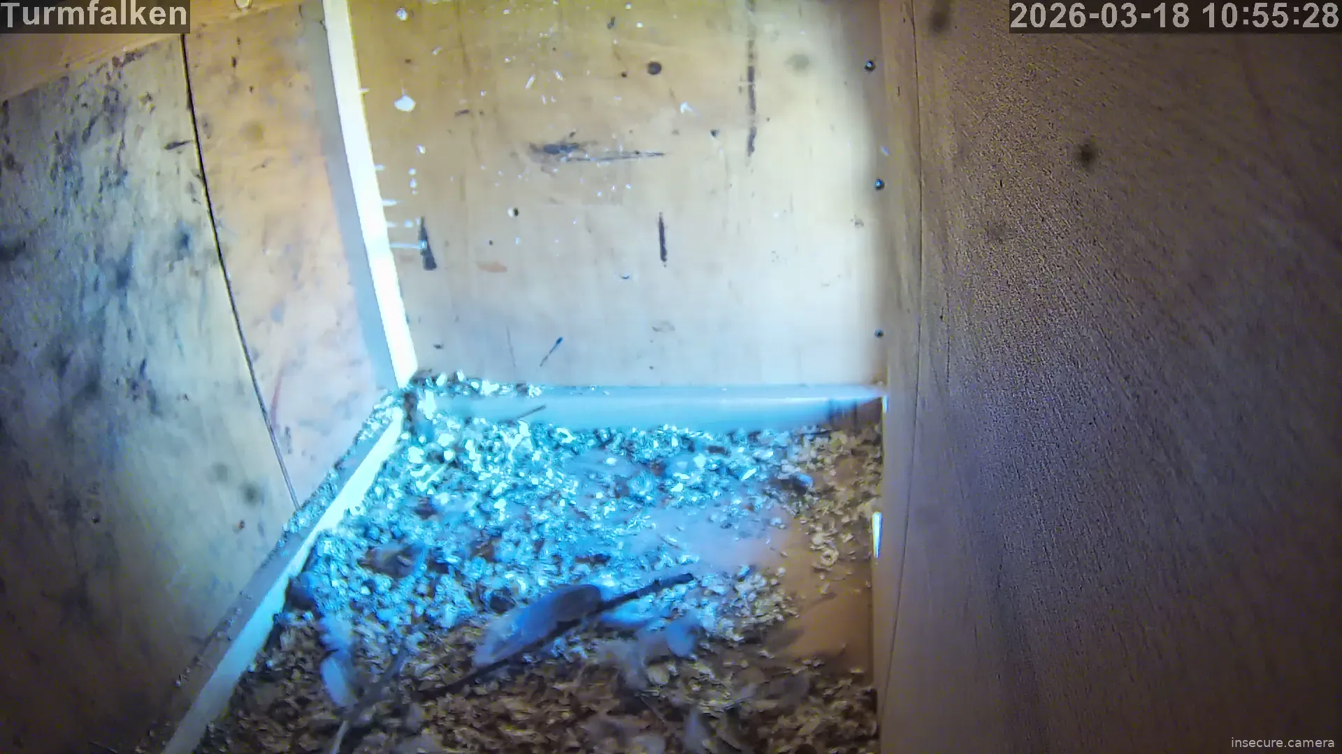 Capture from Mar 18, 2026 at 09:55 AM