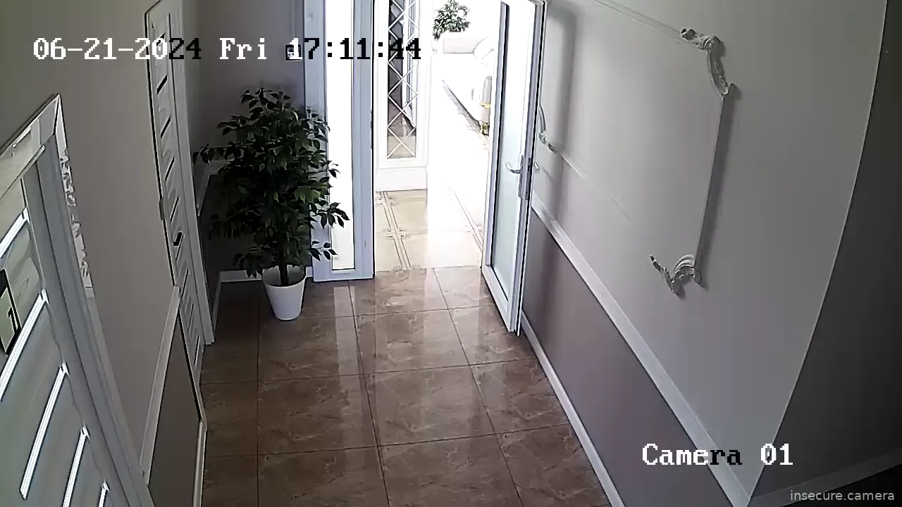 Camera in Russia