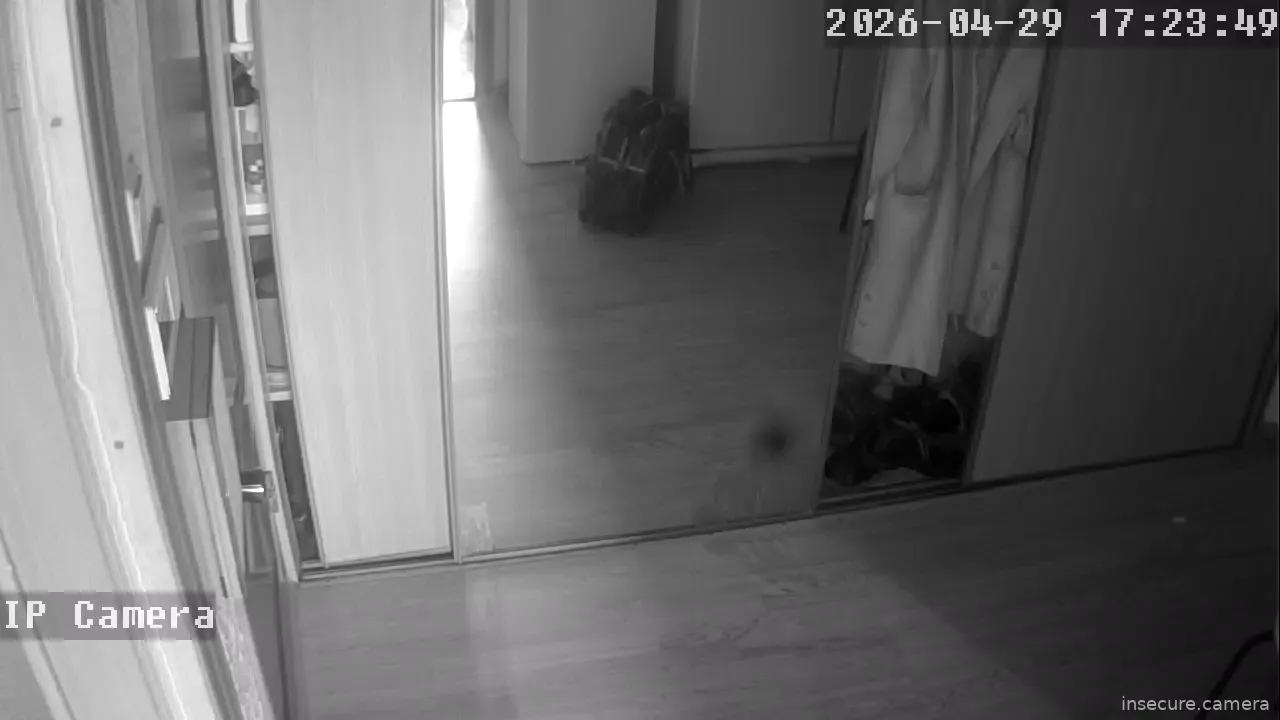 Camera in Russia