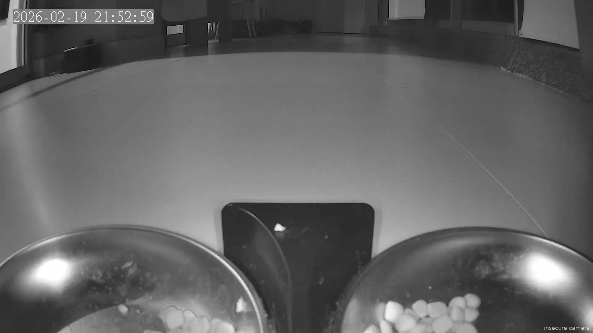 Capture from Feb 20, 2026 at 01:53 AM