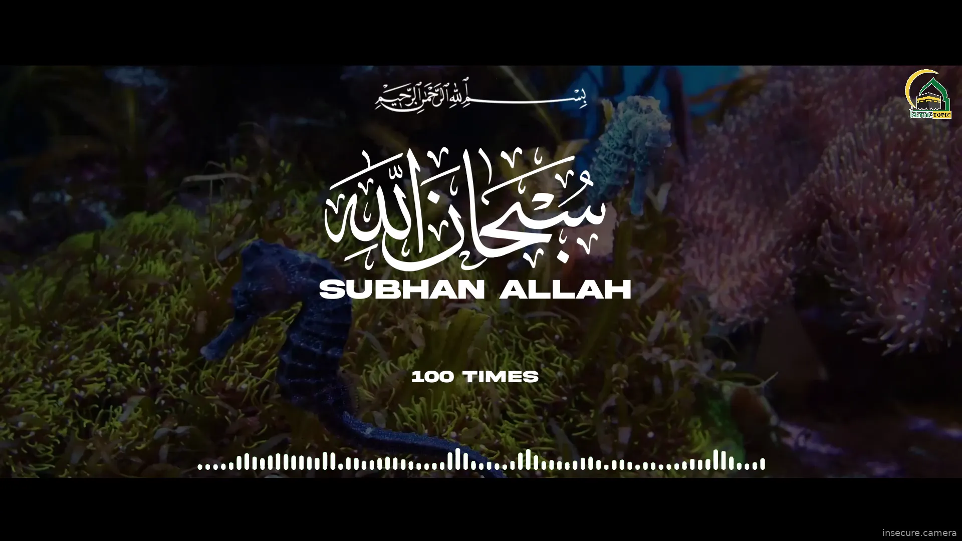 Capture from Feb 28, 2026 at 03:09 AM