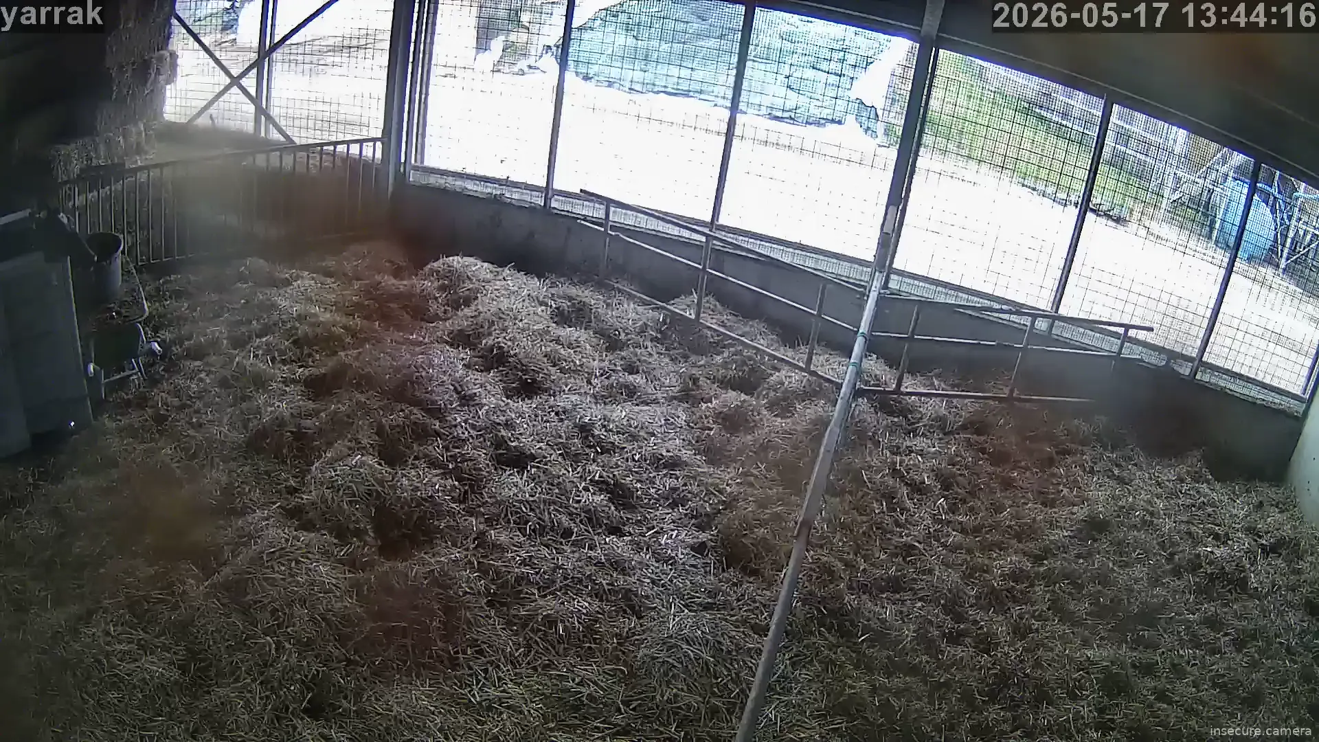 Capture from May 17, 2026 at 11:37 AM