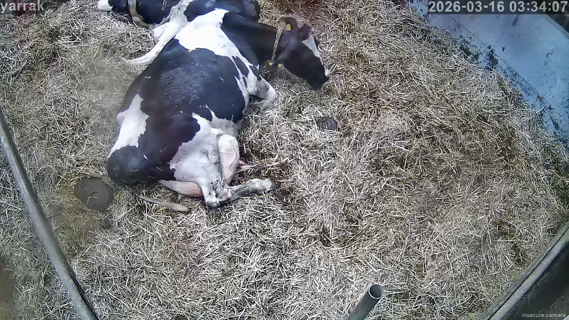 Capture from Mar 16, 2026 at 02:07 AM