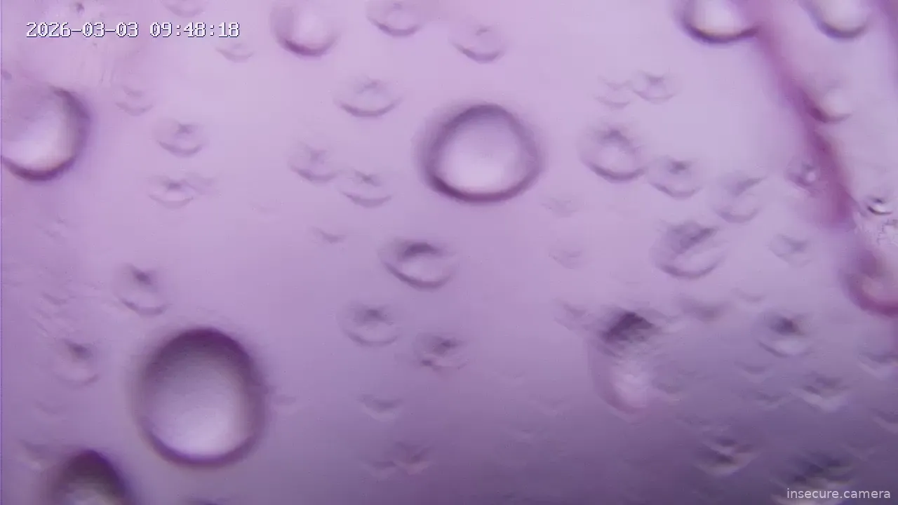 Capture from Mar 03, 2026 at 01:48 AM