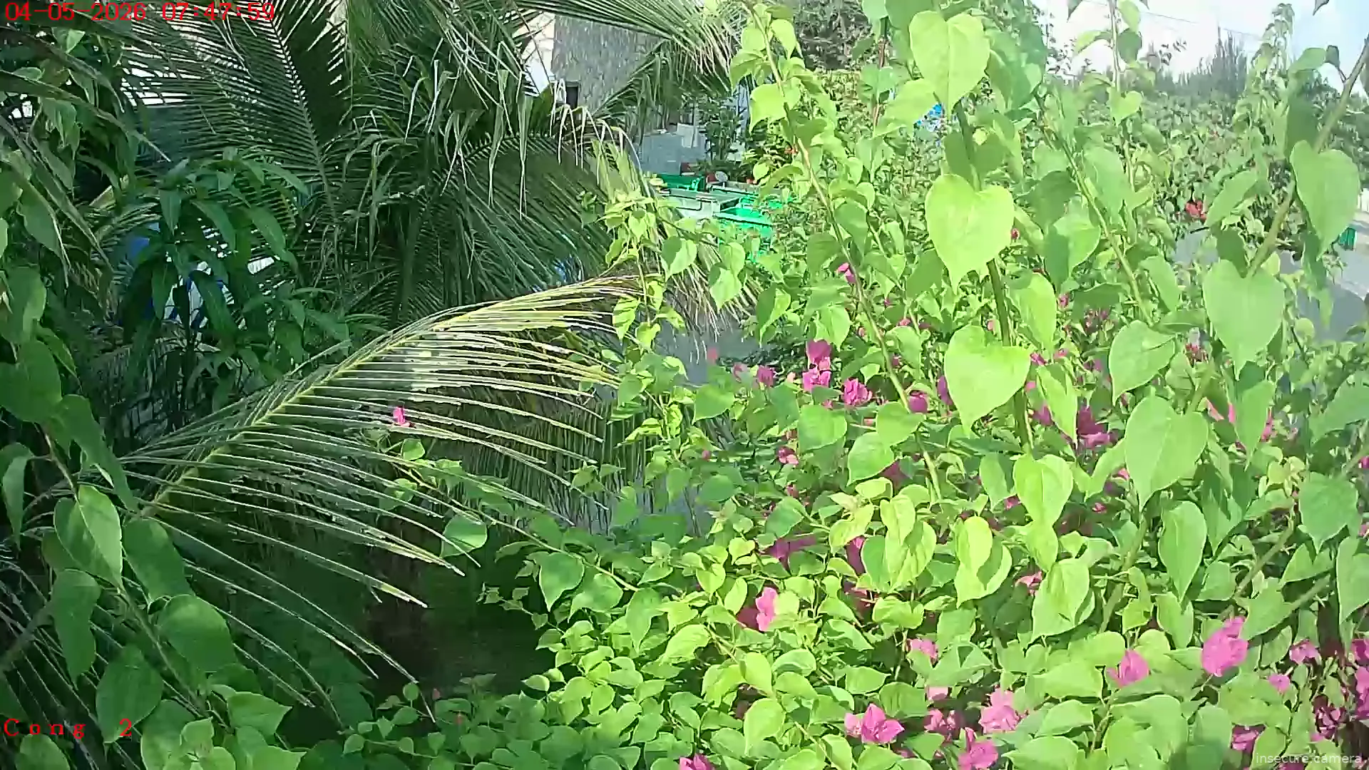 Camera in Vietnam