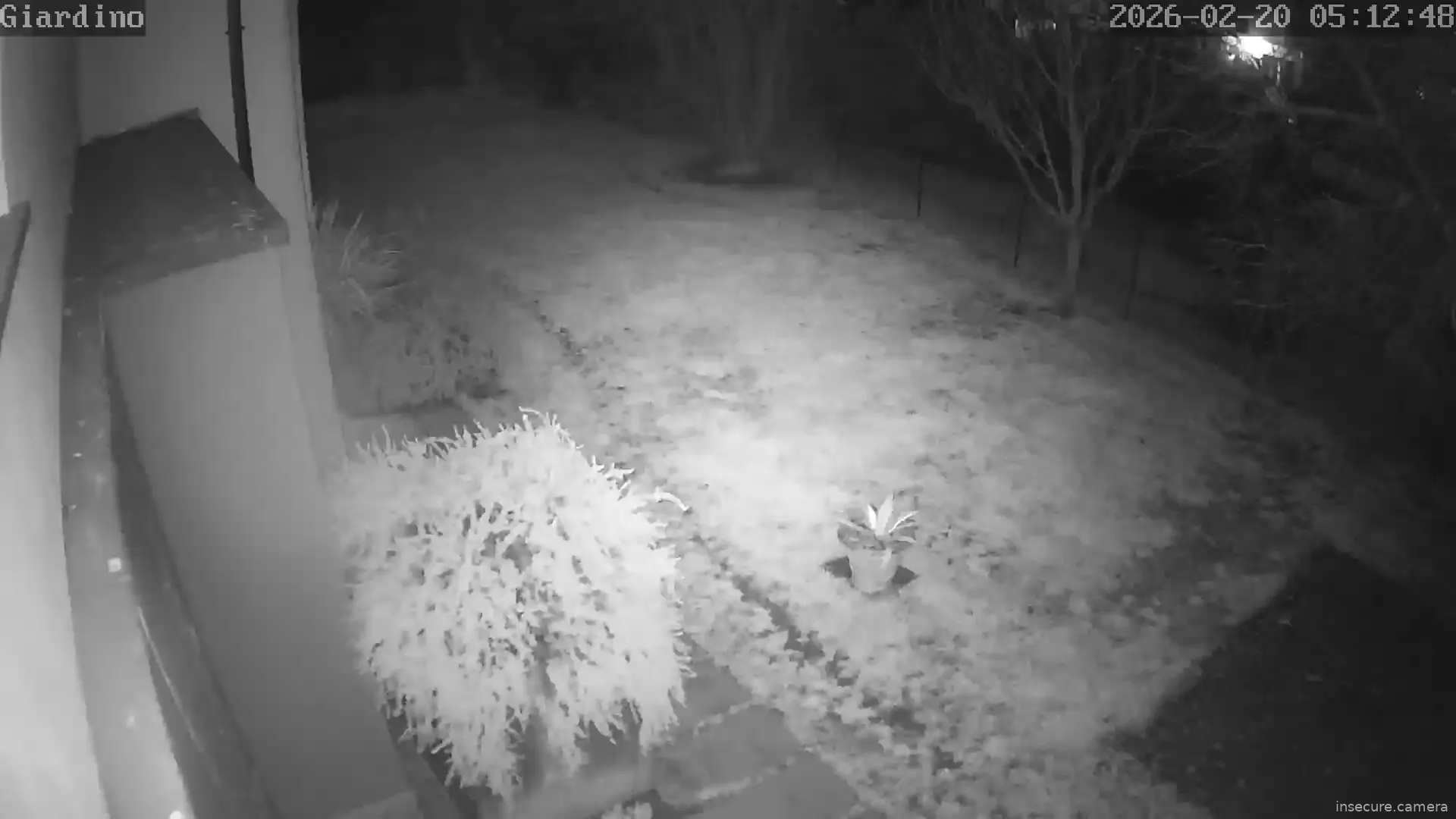 Capture from Feb 20, 2026 at 04:13 AM