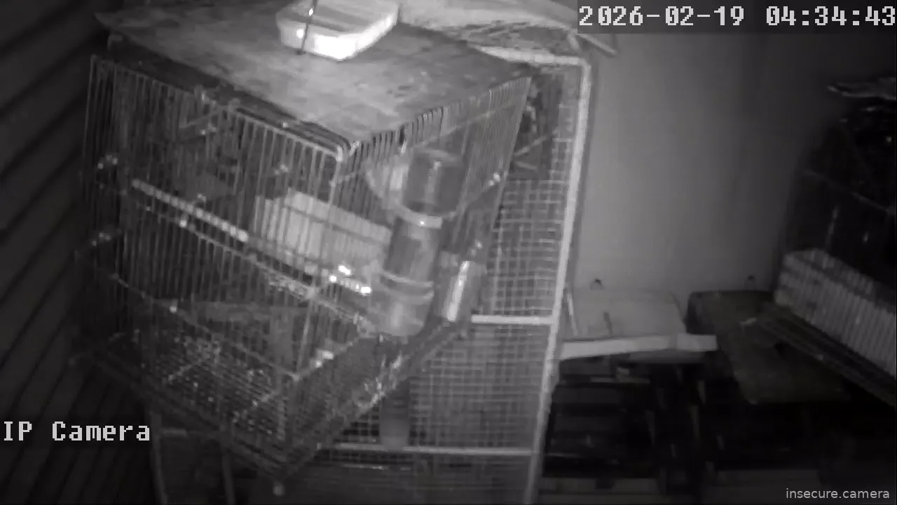 Capture from Feb 19, 2026 at 01:04 AM