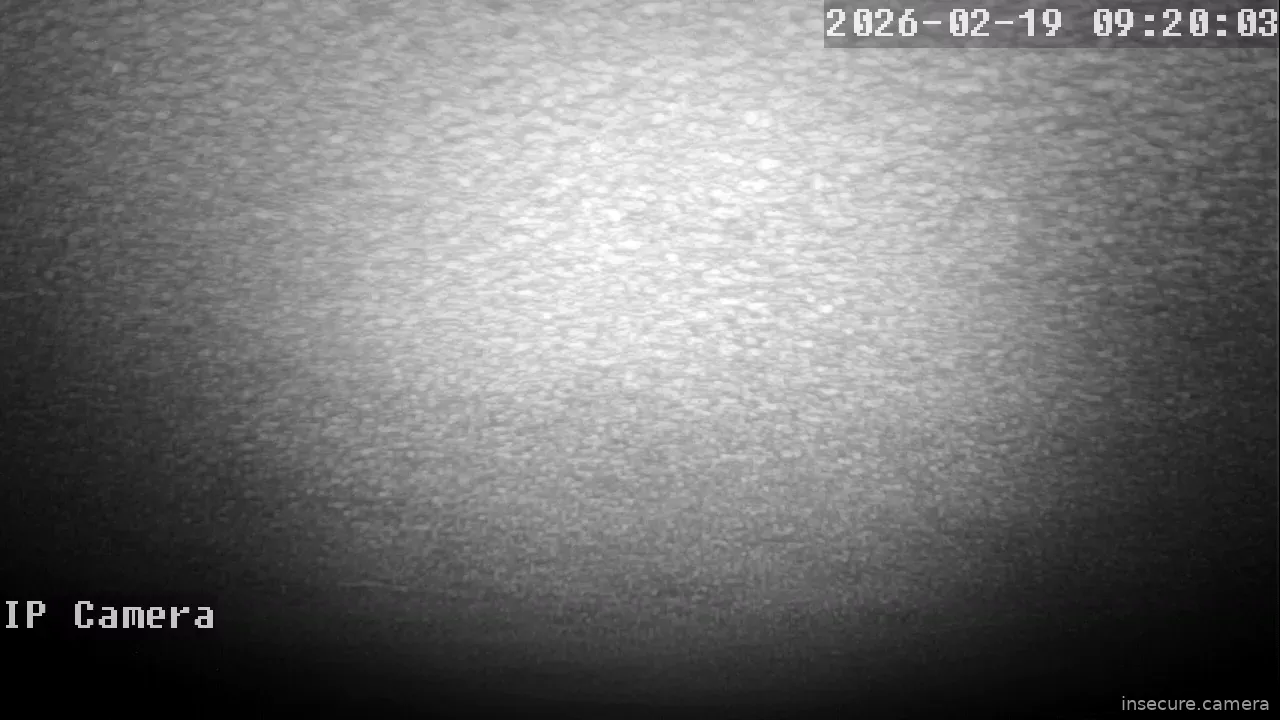 Capture from Feb 19, 2026 at 01:20 AM