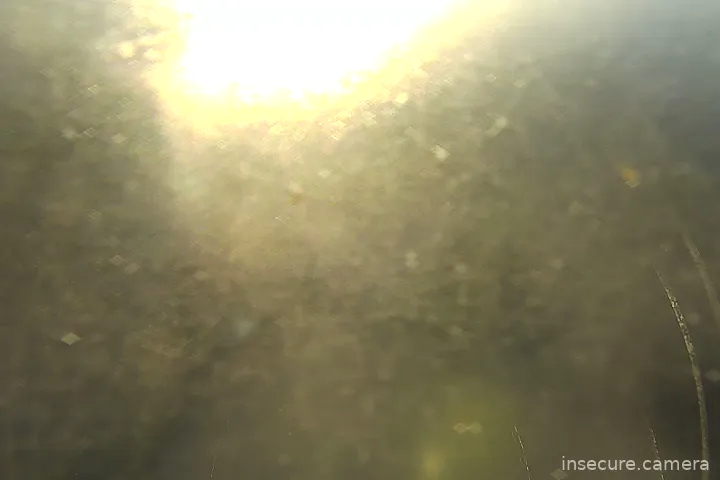 Camera in South Korea