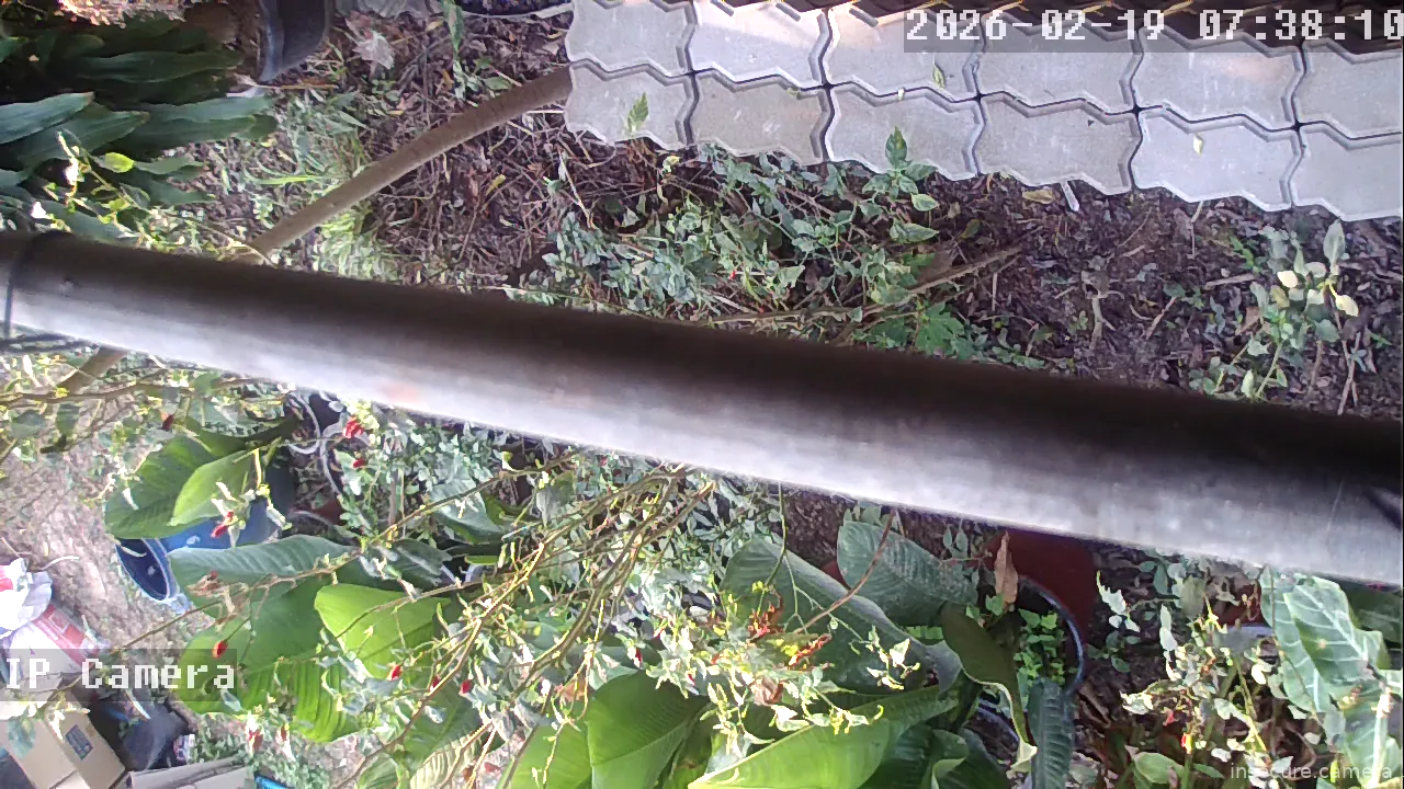 Capture from Feb 19, 2026 at 12:38 AM