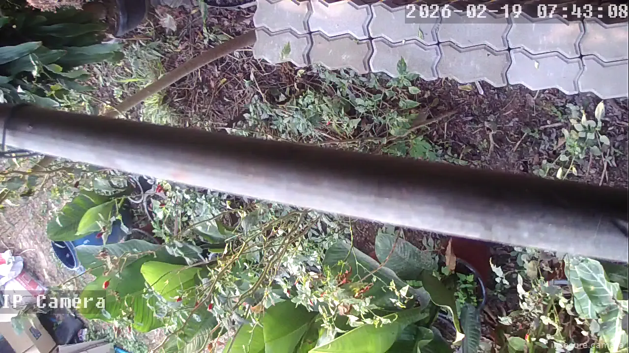 Capture from Feb 19, 2026 at 12:43 AM