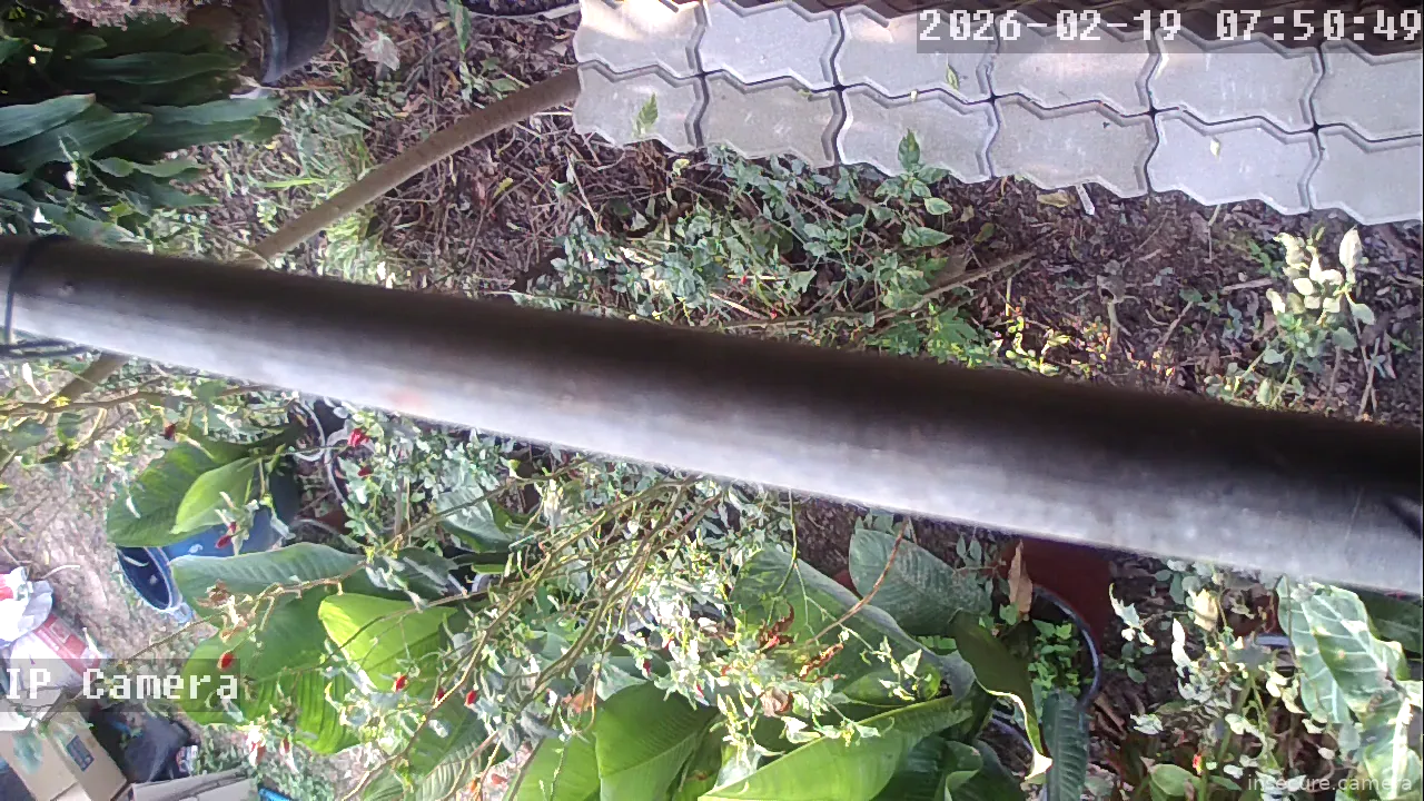 Capture from Feb 19, 2026 at 12:51 AM