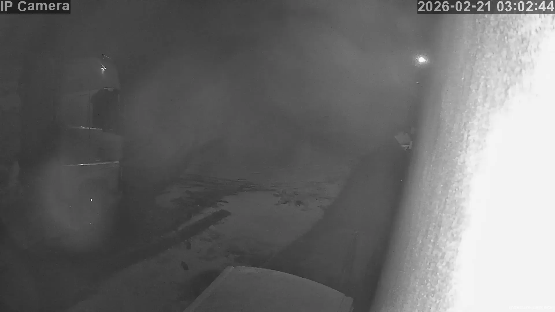 Capture from Feb 20, 2026 at 07:03 PM