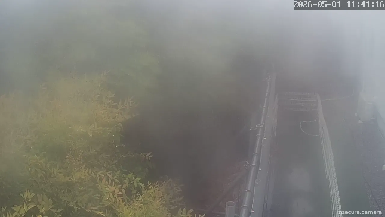 Camera in Japan