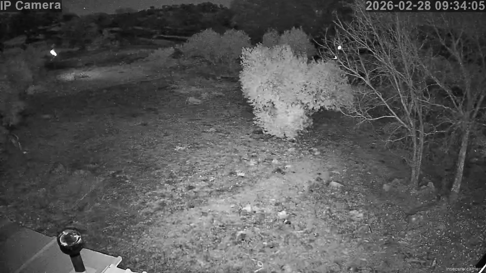 Capture from Feb 28, 2026 at 01:34 AM