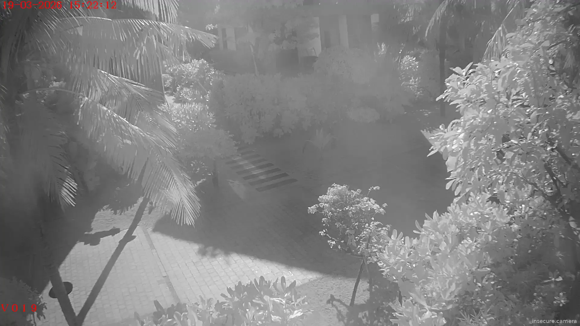 Capture from Mar 19, 2026 at 08:22 AM