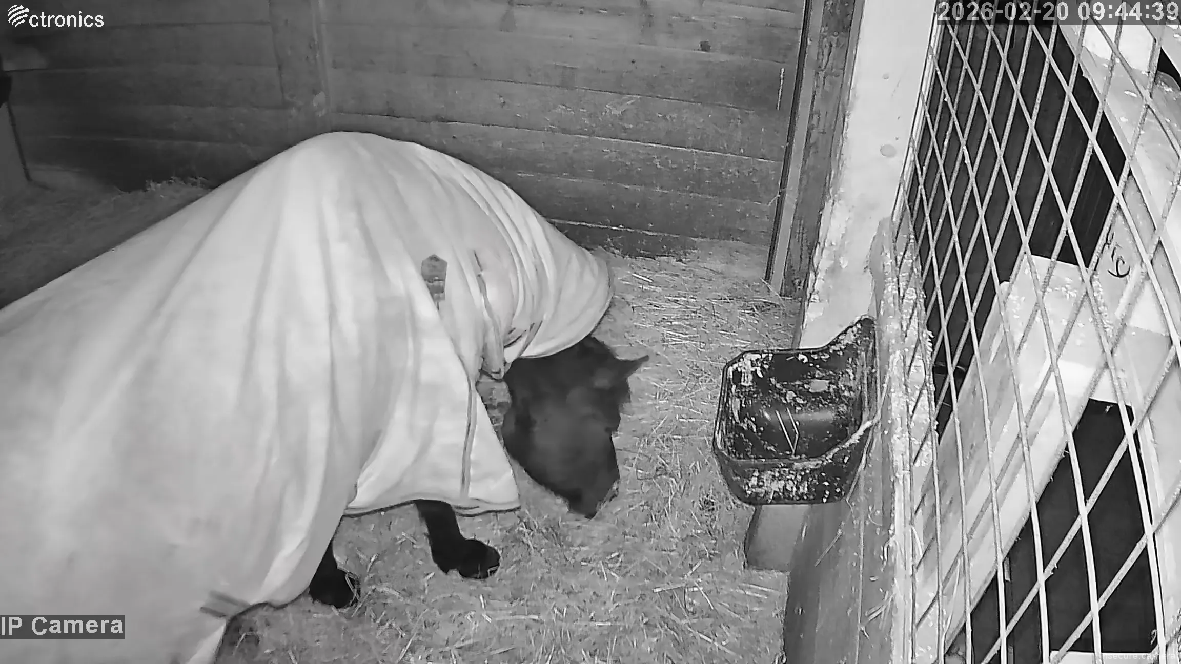 Capture from Feb 20, 2026 at 01:44 AM