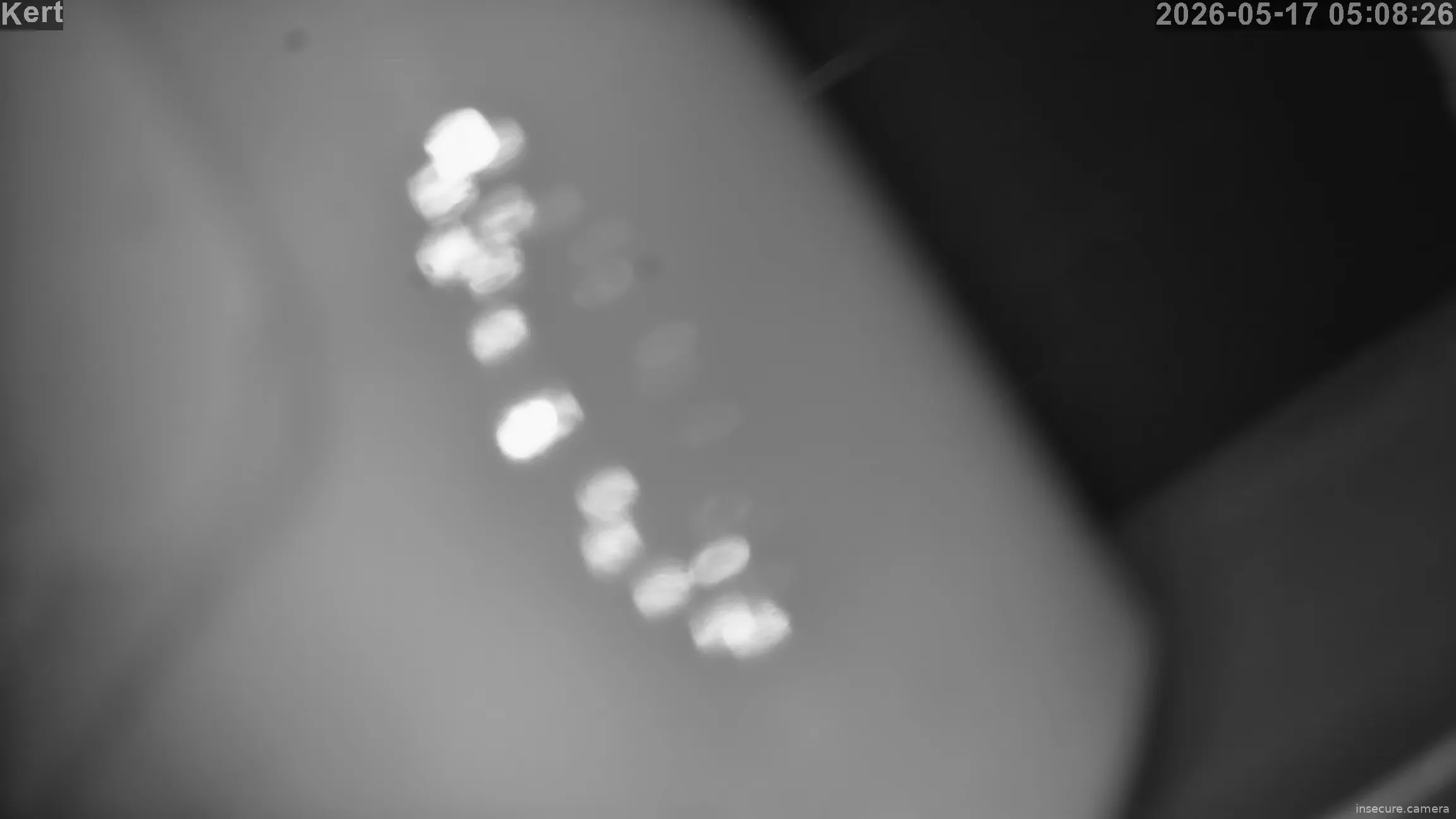 Camera in Hungary