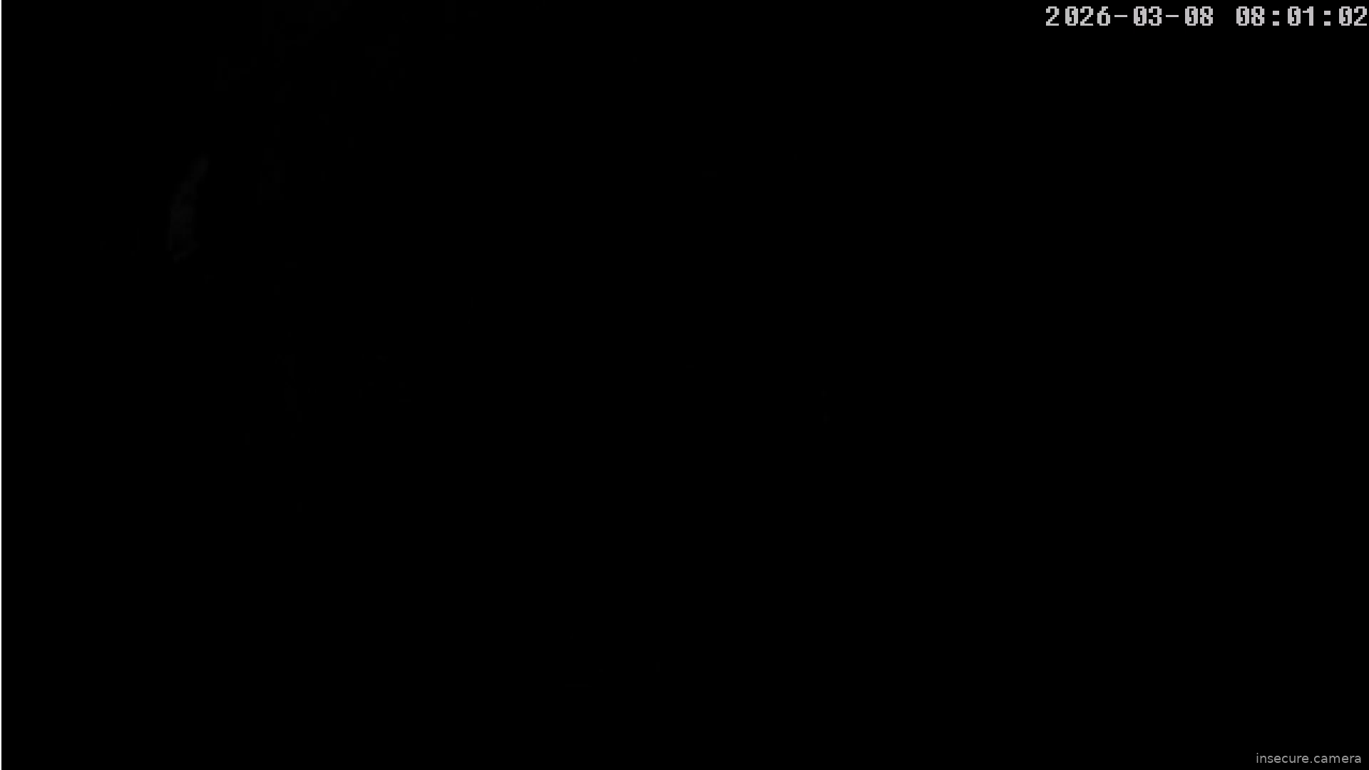 Capture from Mar 08, 2026 at 12:01 AM